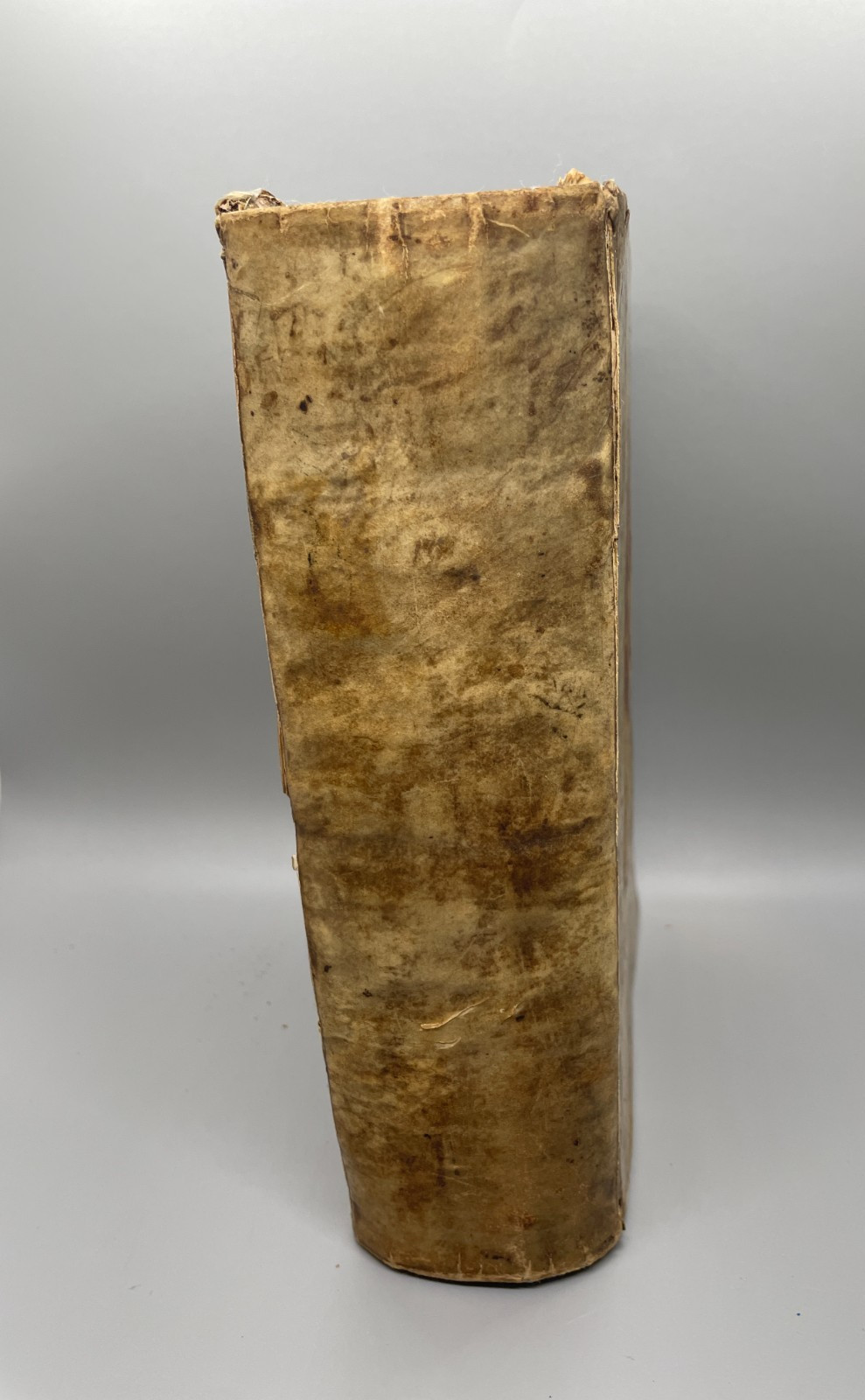 Biblical Real Lexicon Published by Conrad Stosseln 1715 Book, Vellum, German