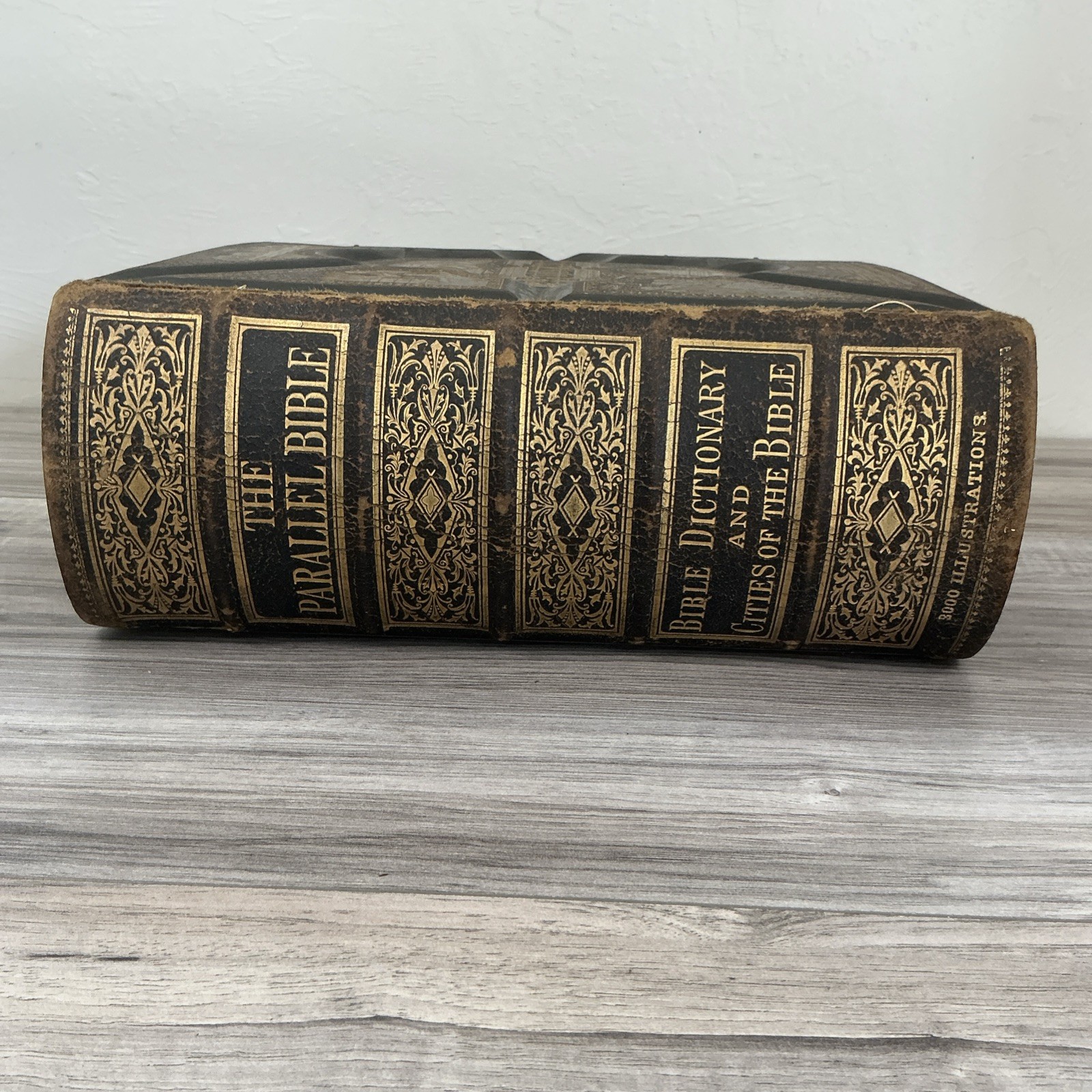 The Parallel Bible Old & New Testaments 2000 Illustrations 1885