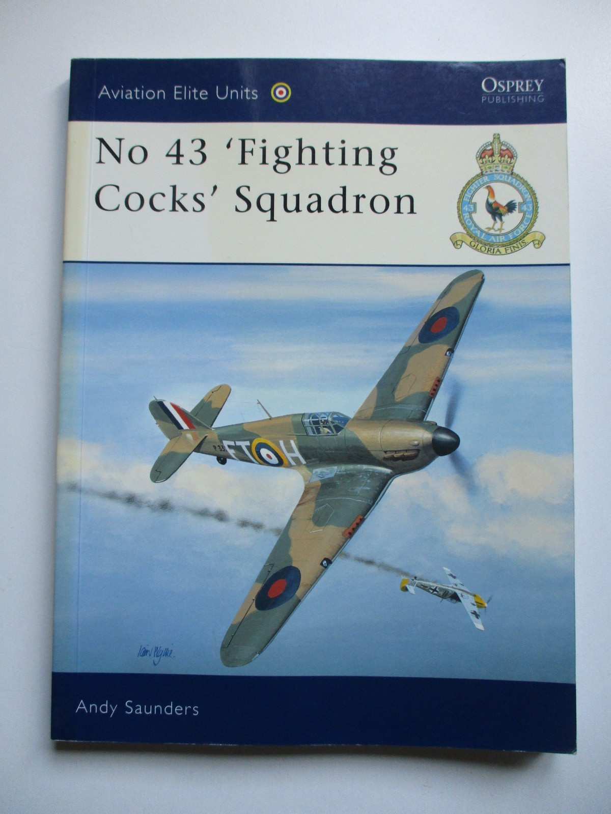 No.43 ‚FIGHTING COCKS‘ SQUADRON Andy Saunders OSPREY Military Aviation PB, 2003