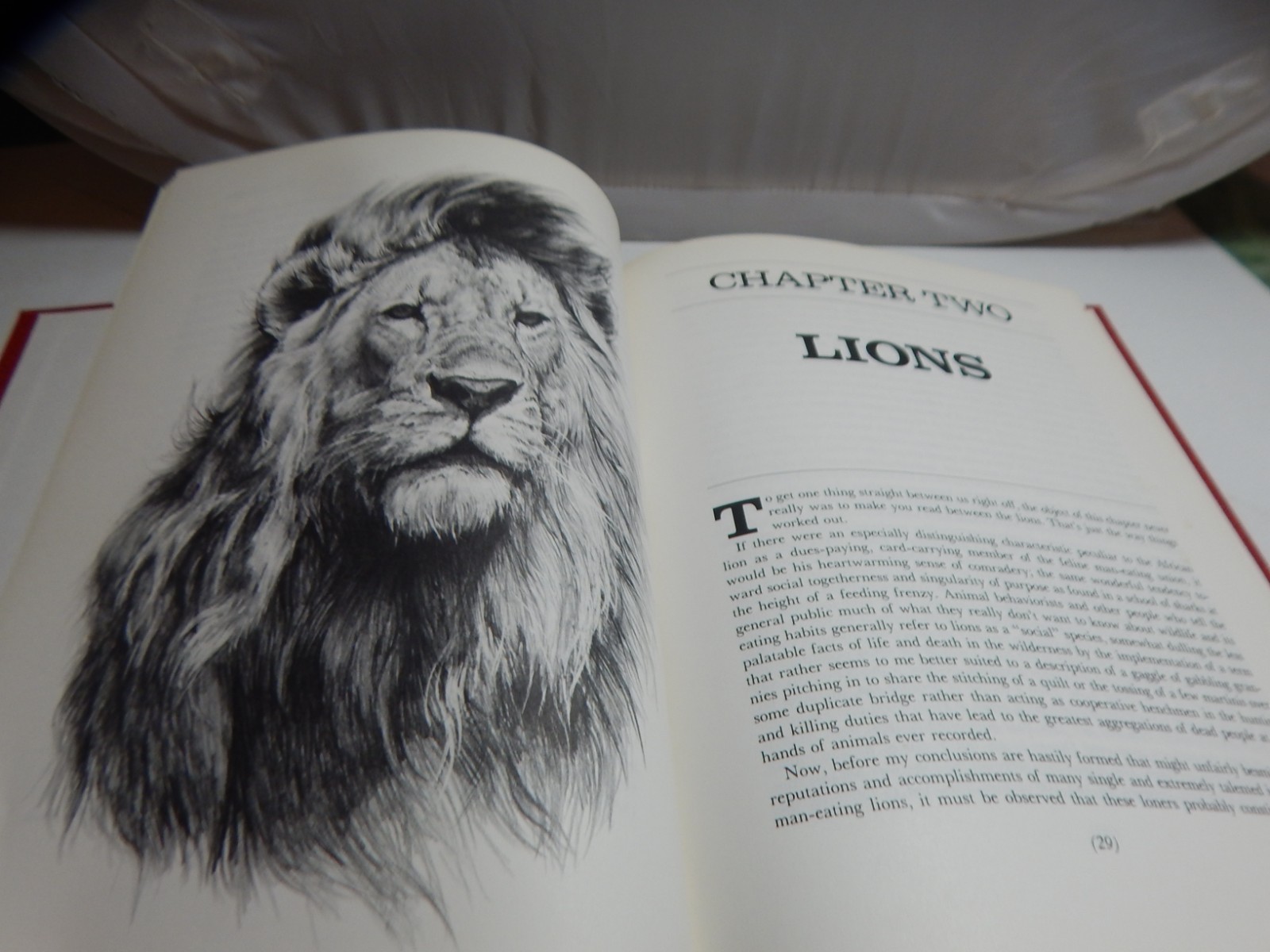MANEATERS By Peter Capstick – 1981 Illustrated Hardcover SIGNED No Dust Jacket