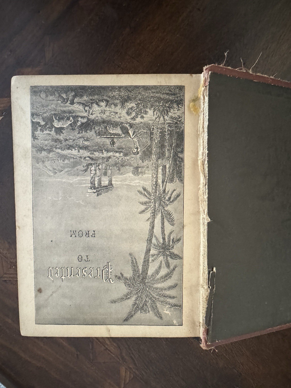 The Pictorial Bible Commentator: The Great Truths of God’s Word – 1878