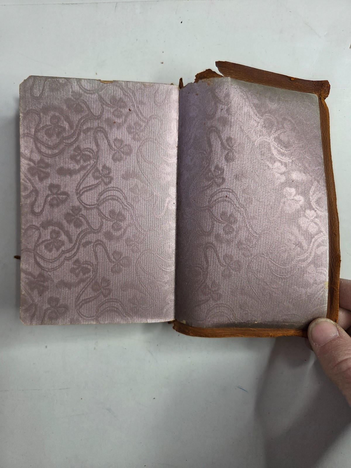 EVANGELINE ca 1900 Henry W. Longfellow Epic Poem Cover Rough SC book KS2