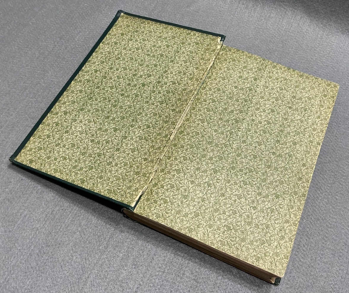 OLD PALMER CHIROPRACTOR BOOK CHIROPRATIC ADJUSTMENTS PHILOSOPHY PRINCIPLES 1911