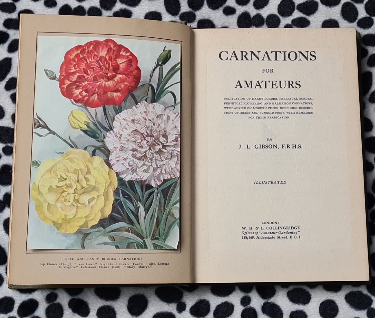 CARNATIONS FOR AMATEURS by J L GIBSON watermarked embossed cloth book vintage