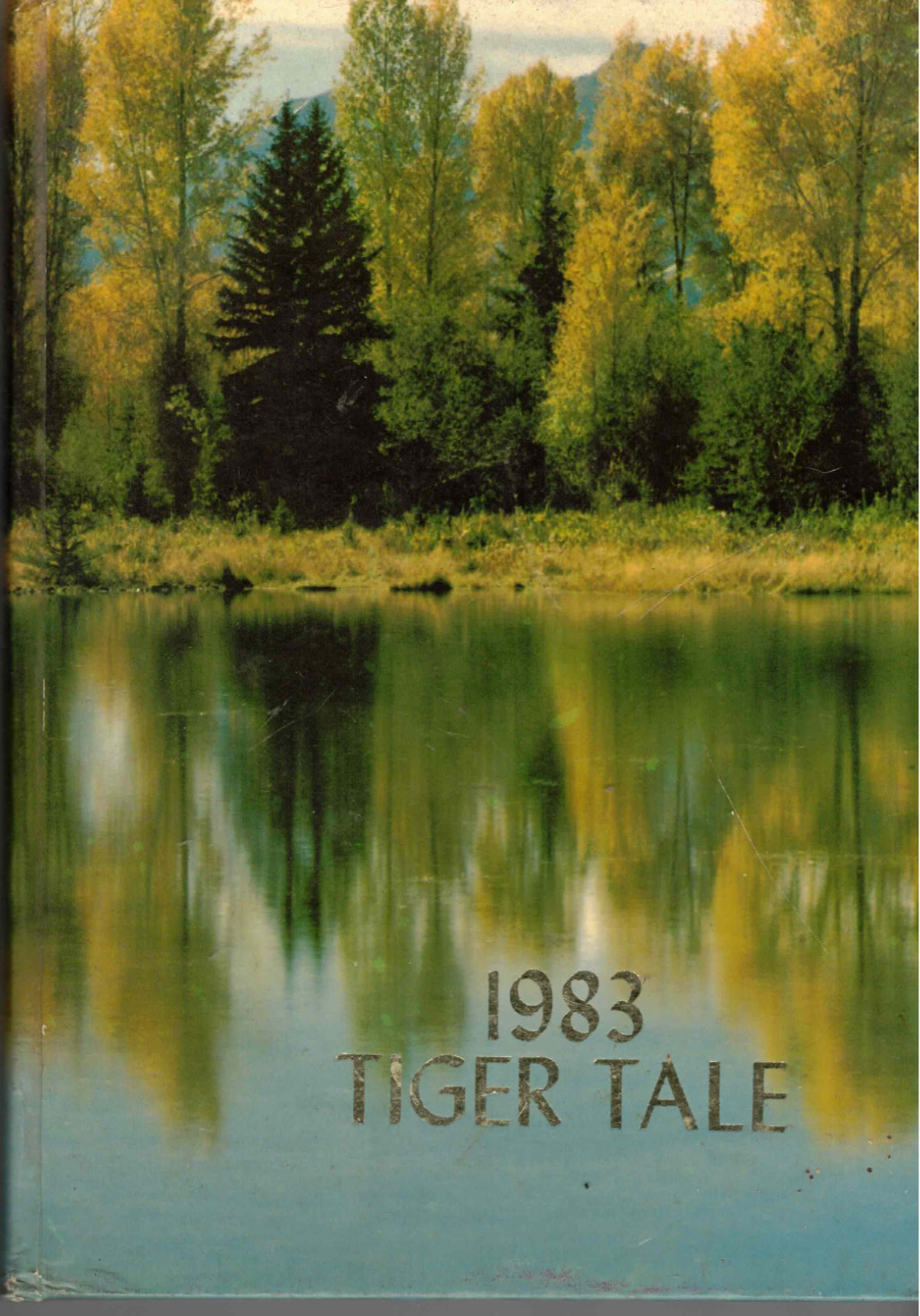 193 Fleetwood Area High School the Tiger Tale Yearbook, Fleetwood PA
