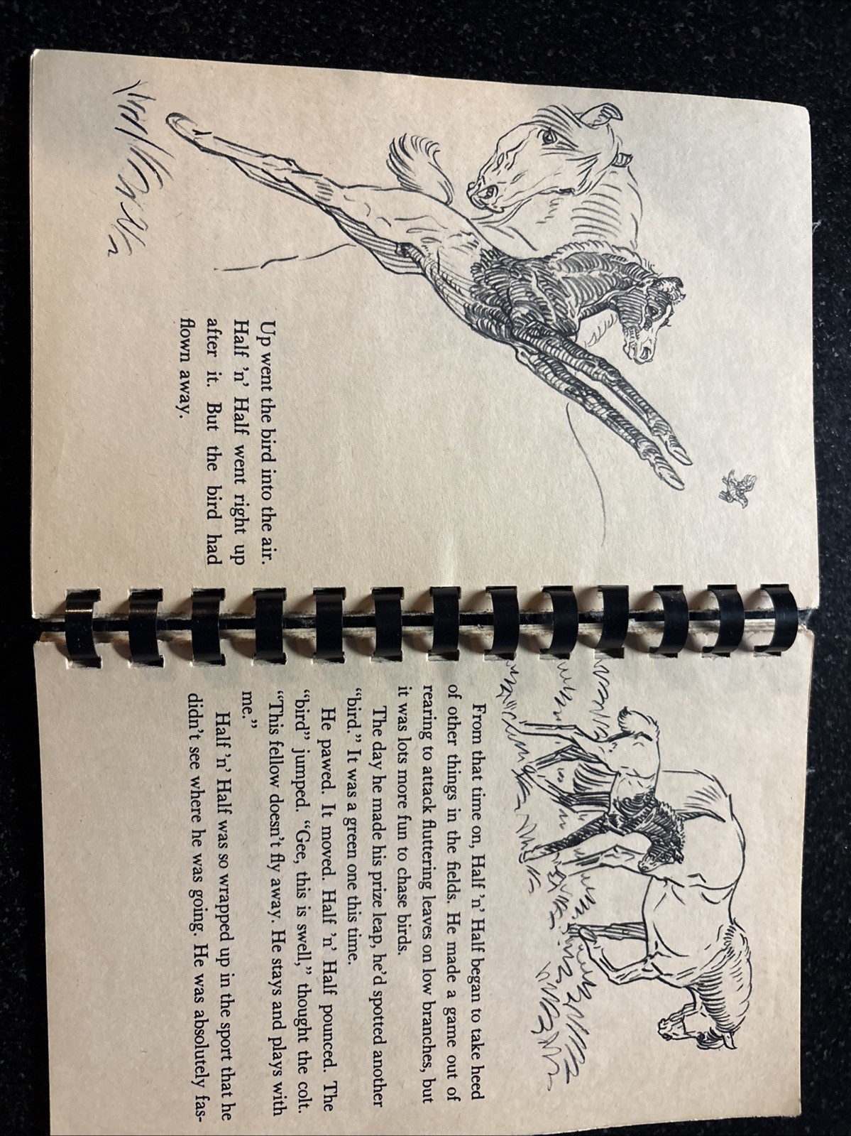 Pony Farm by Paul Brown, 1948 spiral-bound softcover. Clean copy