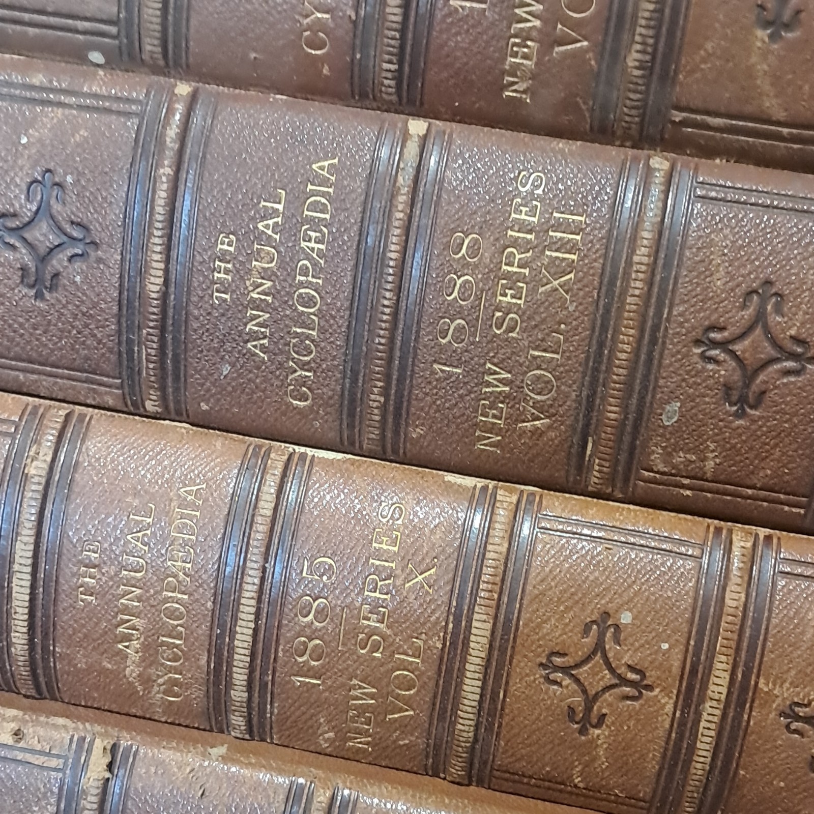D. Appleton Annual Cyclopaedia 1883 Leather Bound Illustrated Americana