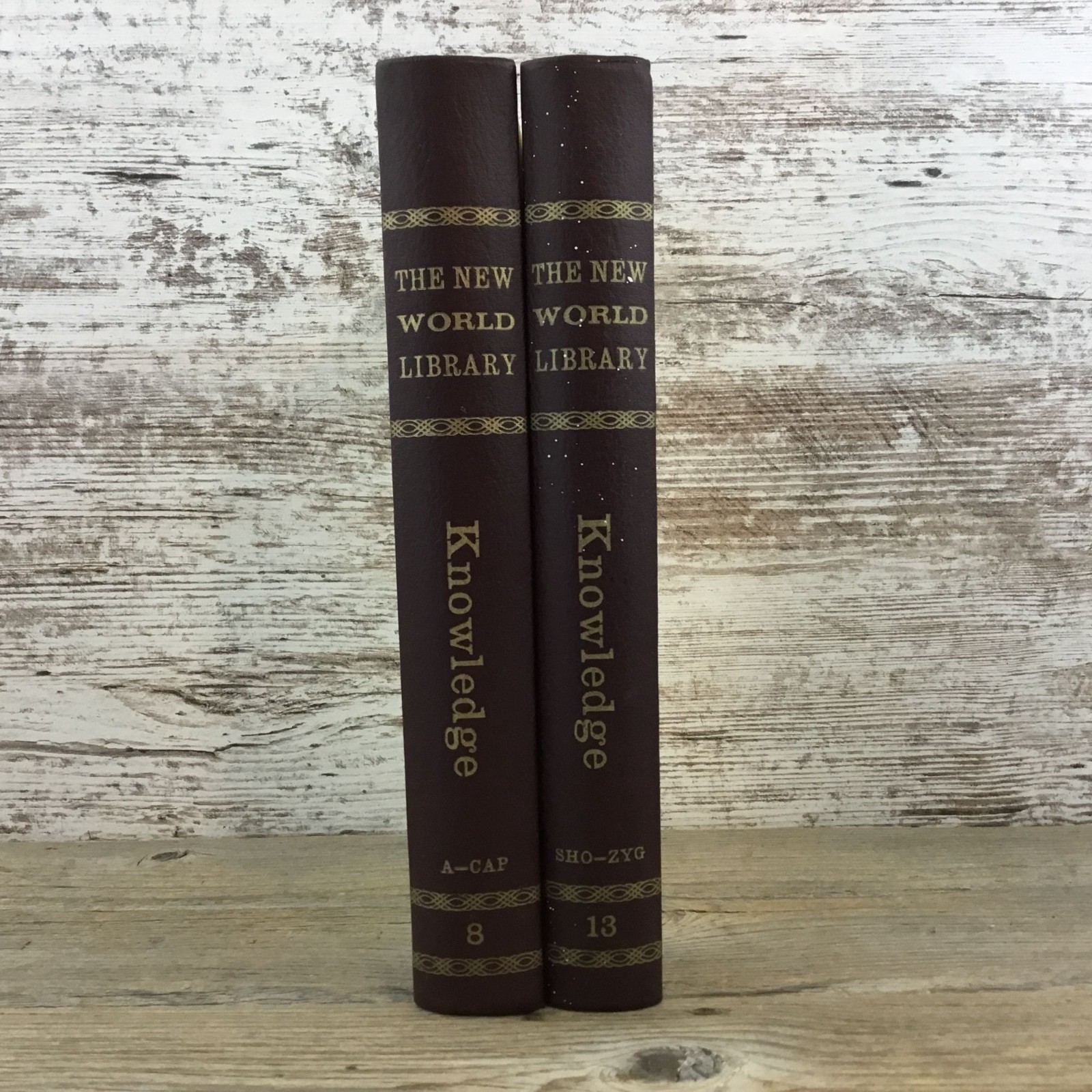 Vintage 1965 The New World Library Alcuin Press Volumes 8 & 13 Knowledge Hardcov