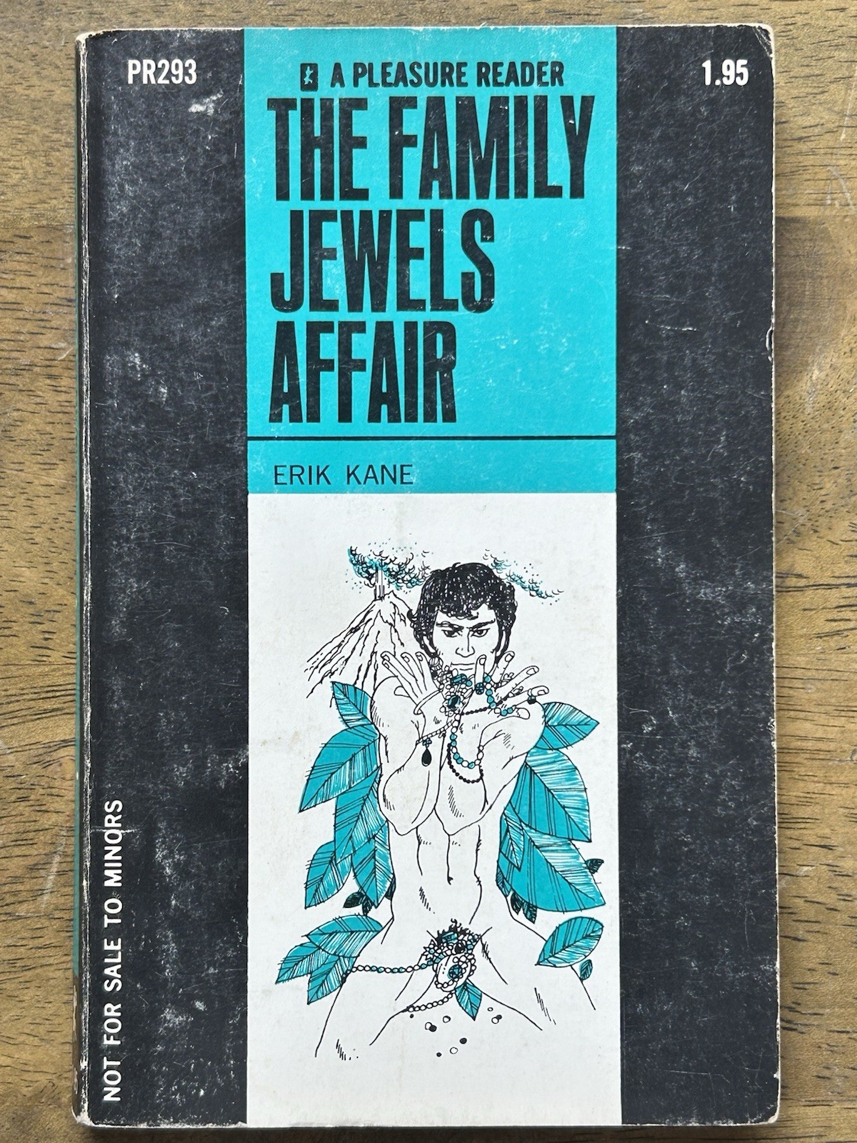 The Family Jewels Affair By Erik Kane PR293 Greenleaf Classics Vintage Gay Smut