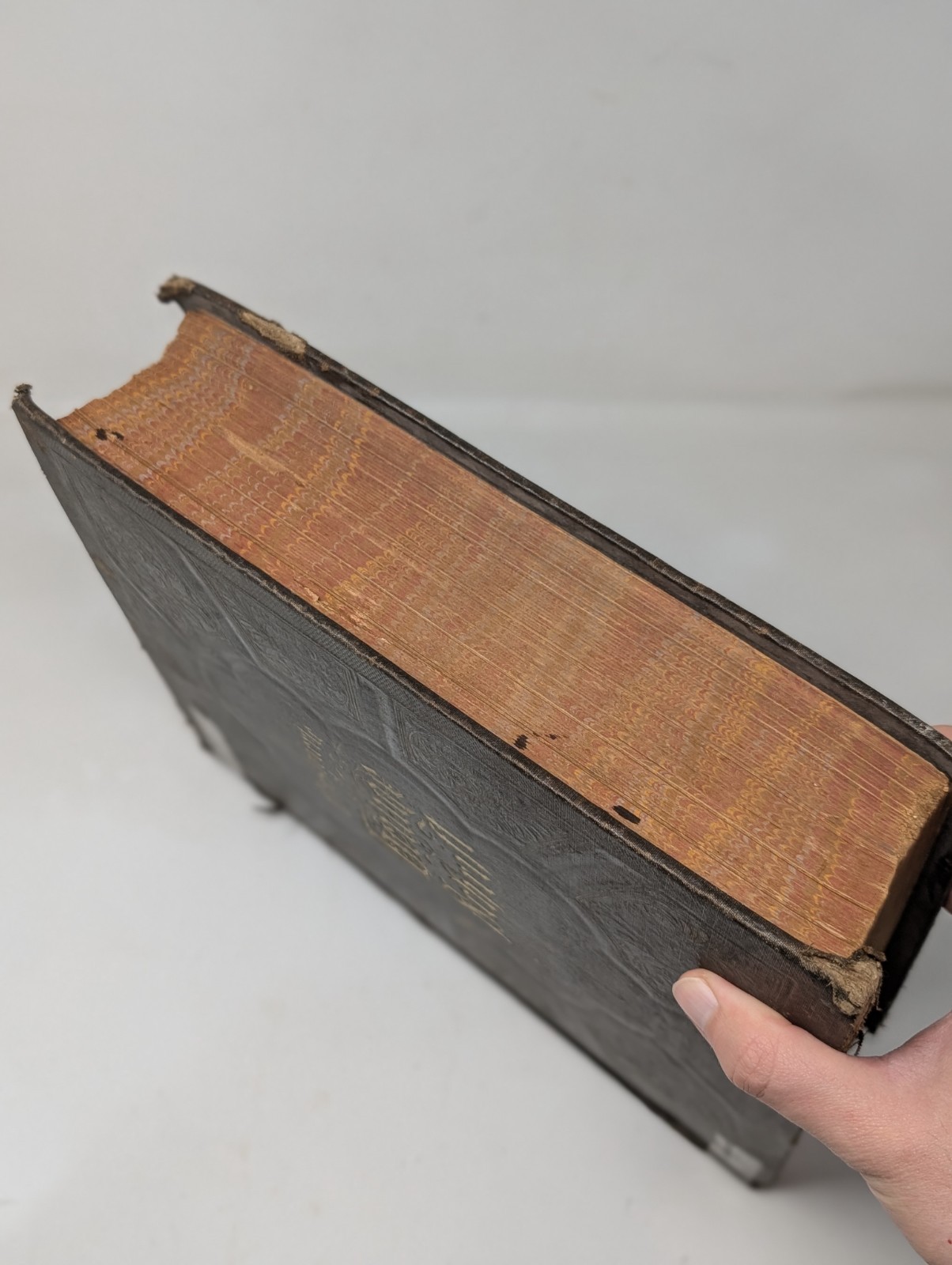 Antique German Holy Bible 1891 A. J. Holman’s Co. Philadelphia Illustrated VTG