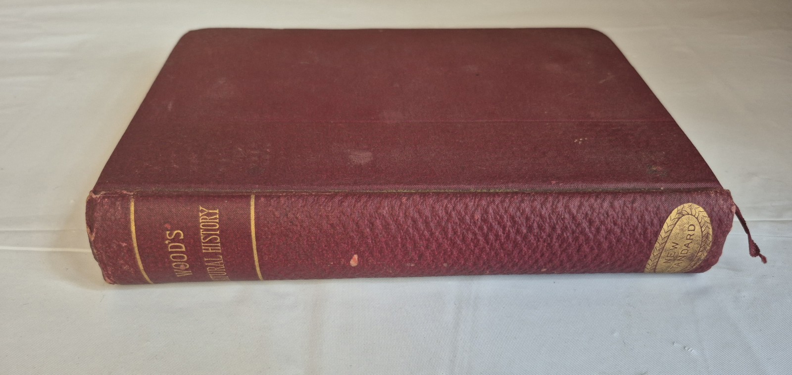Wood’s Natural History, New Edition, Illustrated J.G. Wood, M.A. and others