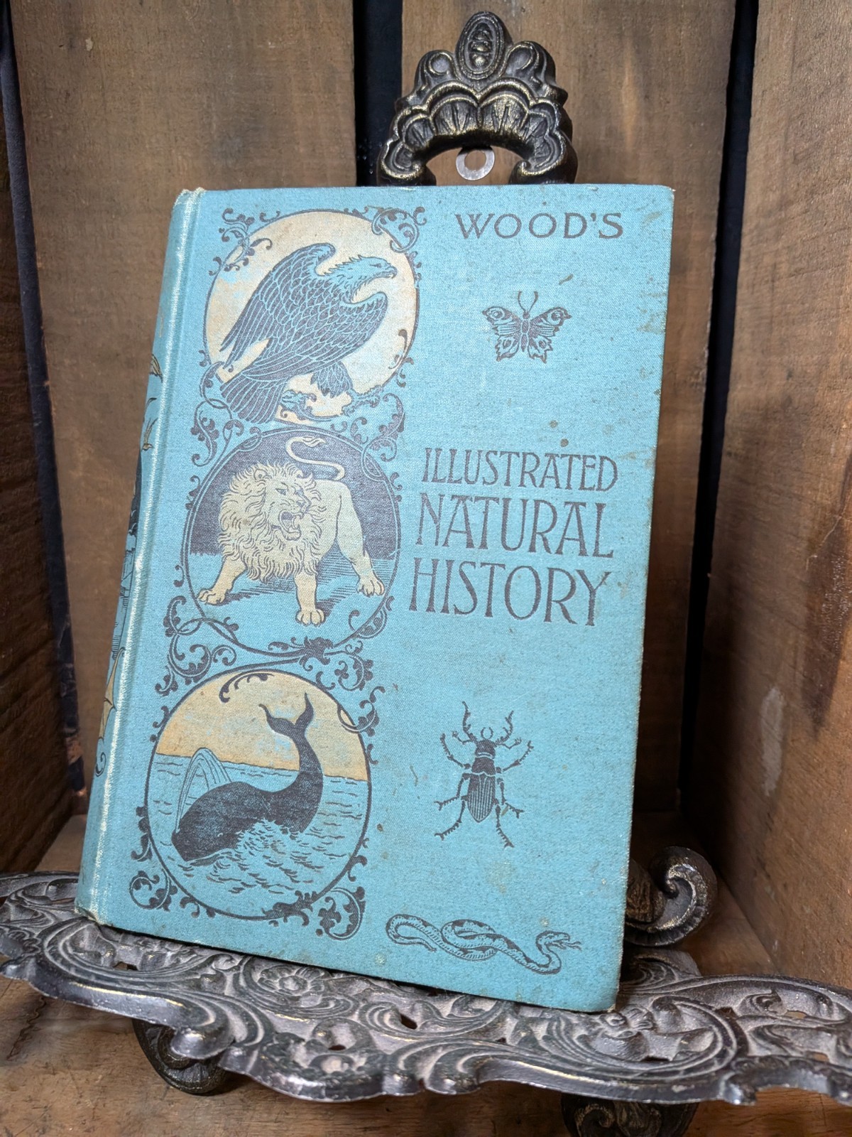 1886 Wood’s Illustrated Natural History – Rev. J.G. Wood Hundreds of Engravings