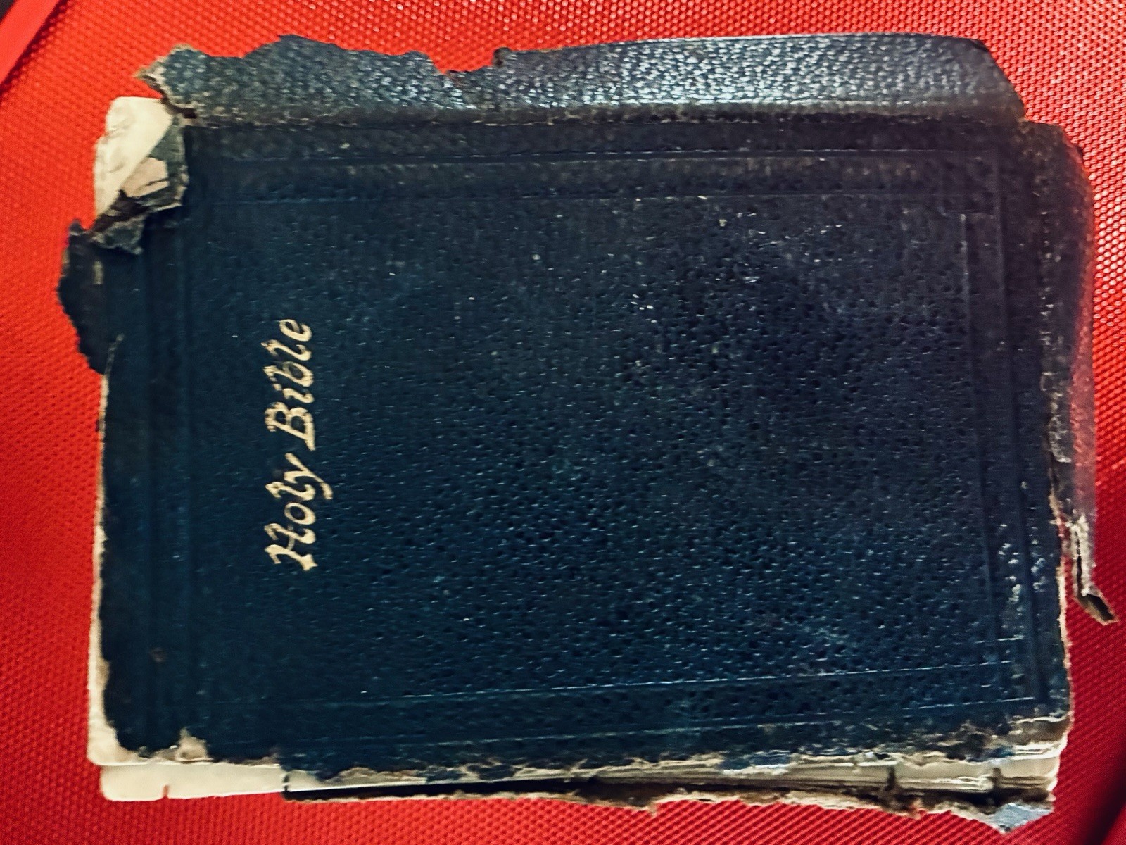 The Holy Bible 1881 Leather Bound American Bible Society