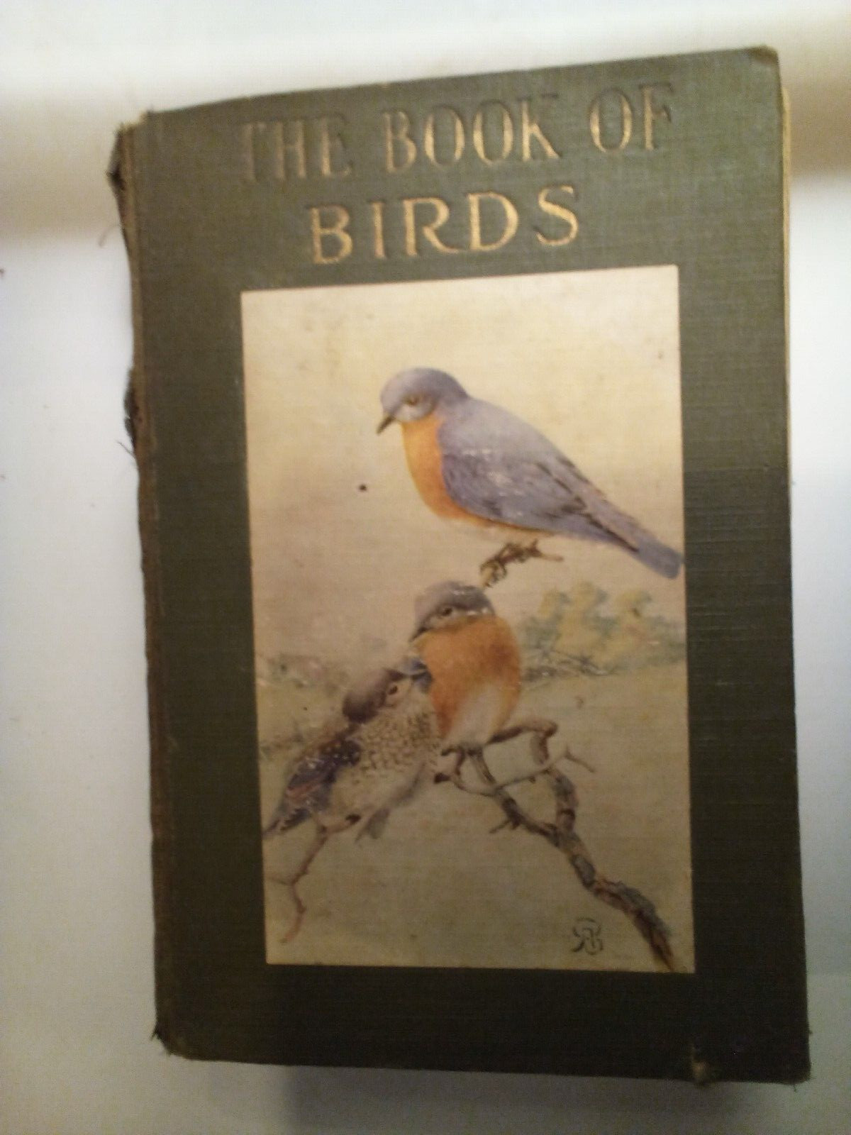 1932 The Book of Birds by Neltje Blanchan