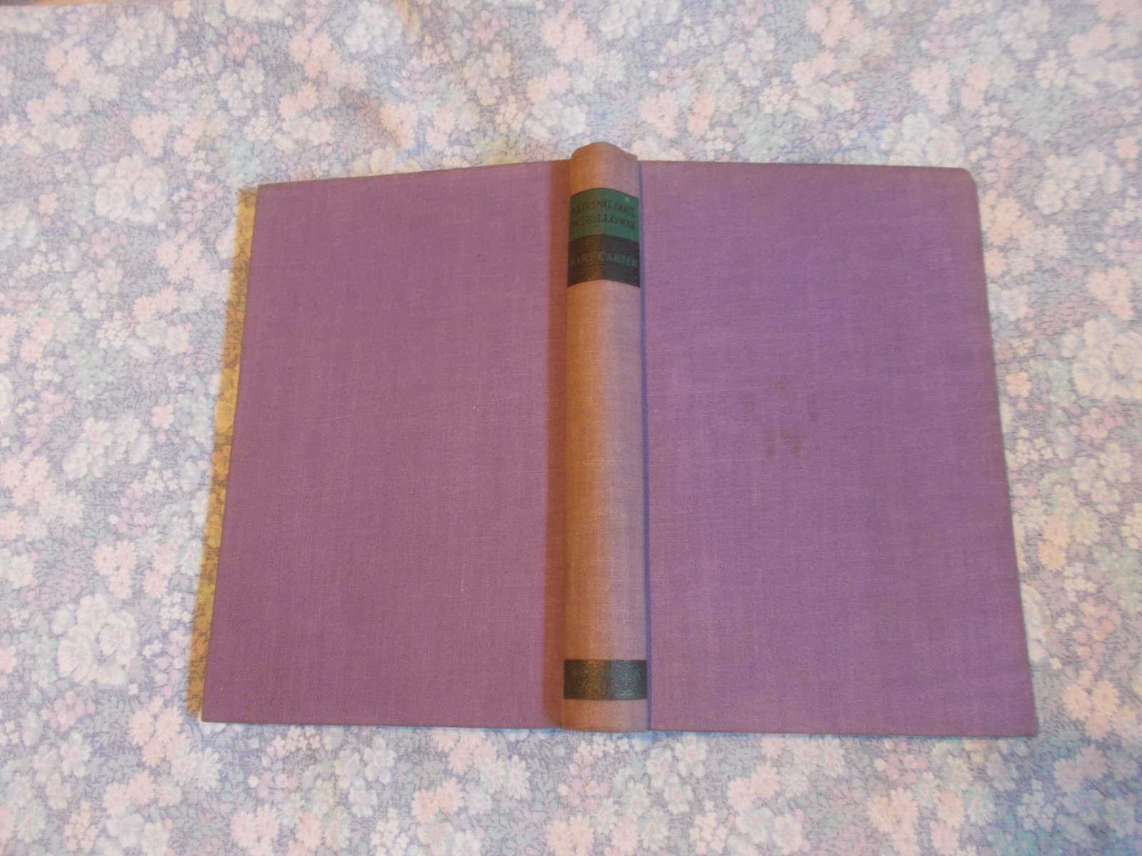 Lady Carter A LIVING SOUL IN HOLLOWAY 1938 1st ed women’s prisons welfare RARE
