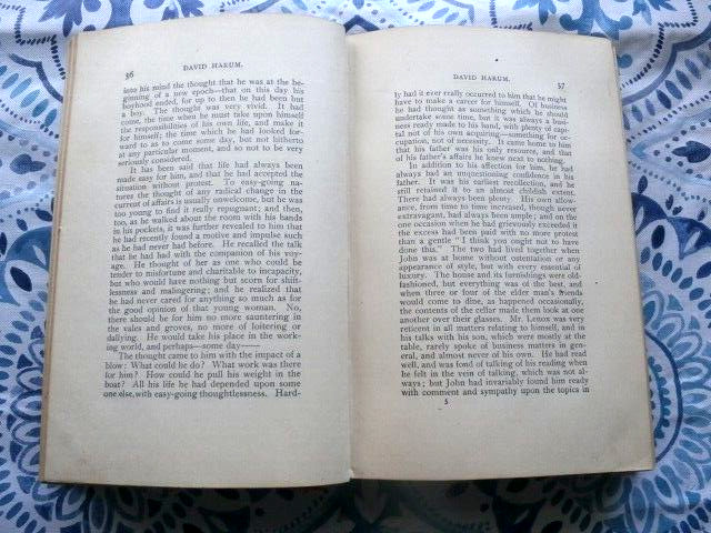 1900 ANTIQUE BOOK BY EDWARD NOYAS WESTCOTT PUBLISHED BY D. APPLETON AND COMPANY