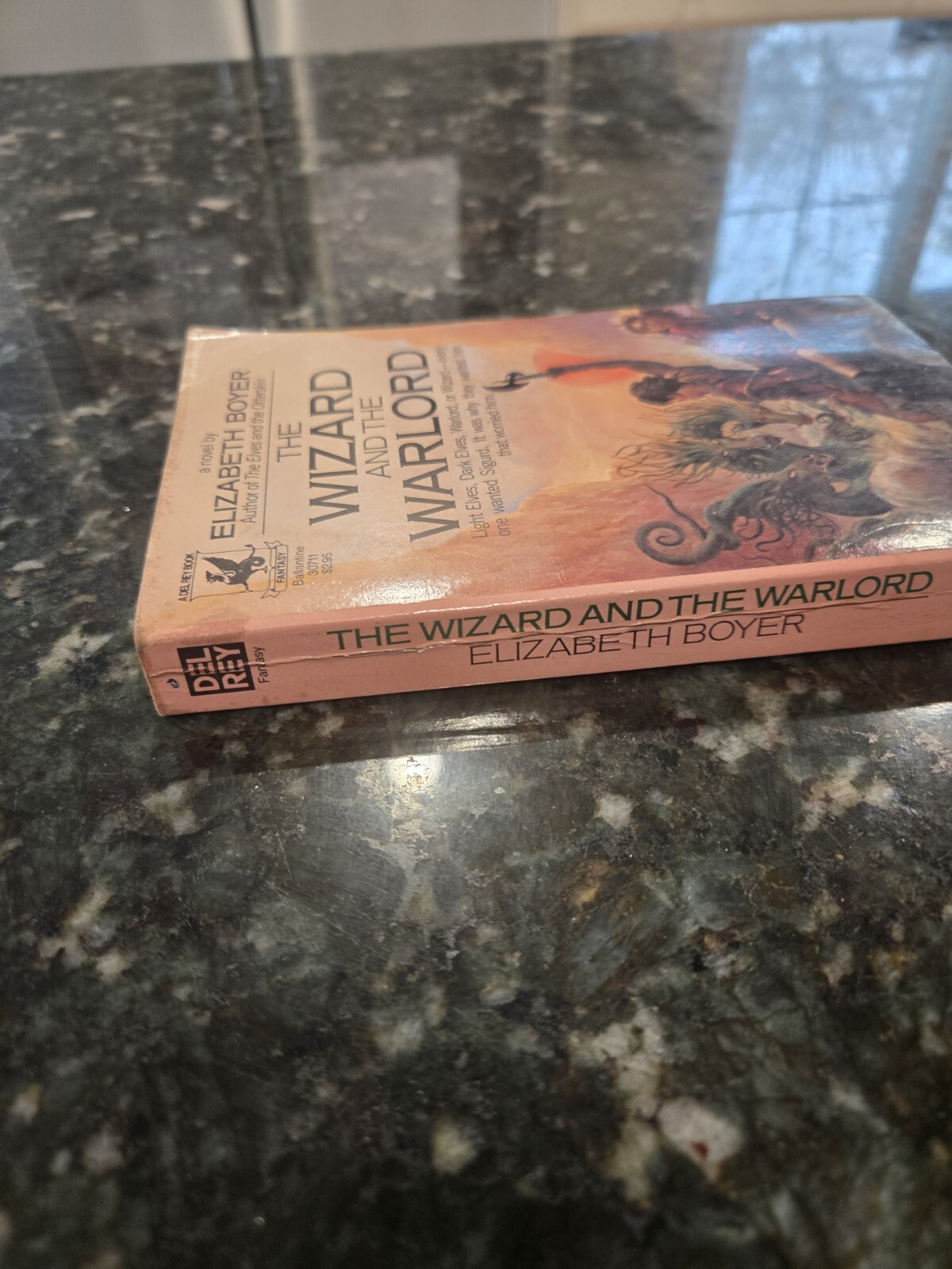 The Wizard And The Warlord By Elizabeth Boyer 1983 paperback Del Rey