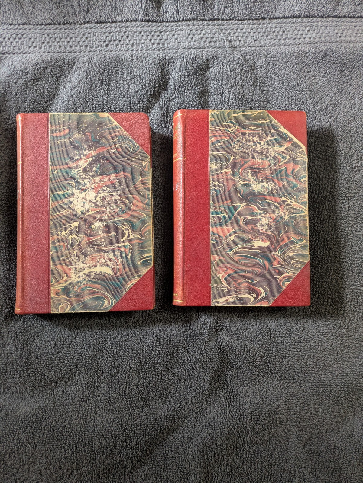 Charles Darwin 2 Volume set 1896 ORIGIN OF SPECIES 1 & 2 Luxury Edition Antique
