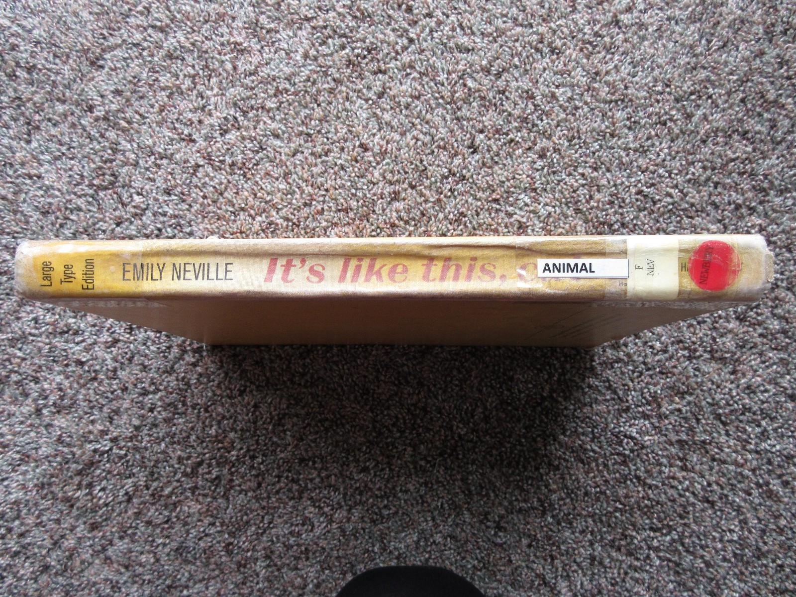 It’s Like This, Cat (1963) by Emily Neville Illustrated by Emil Weiss Hardcover