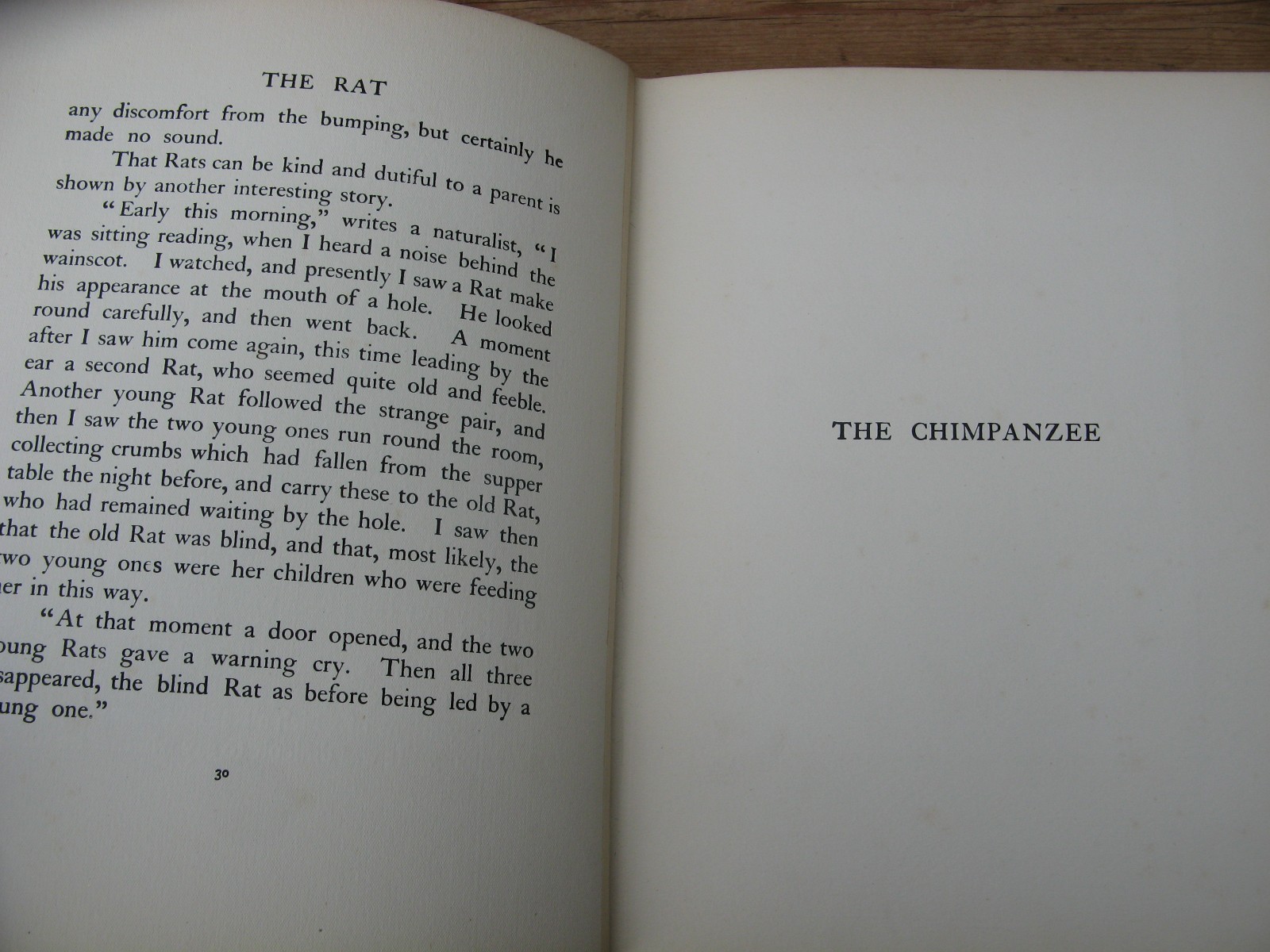 1911 The Book of Baby Beasts- Detmold SIGNED 1st Edition