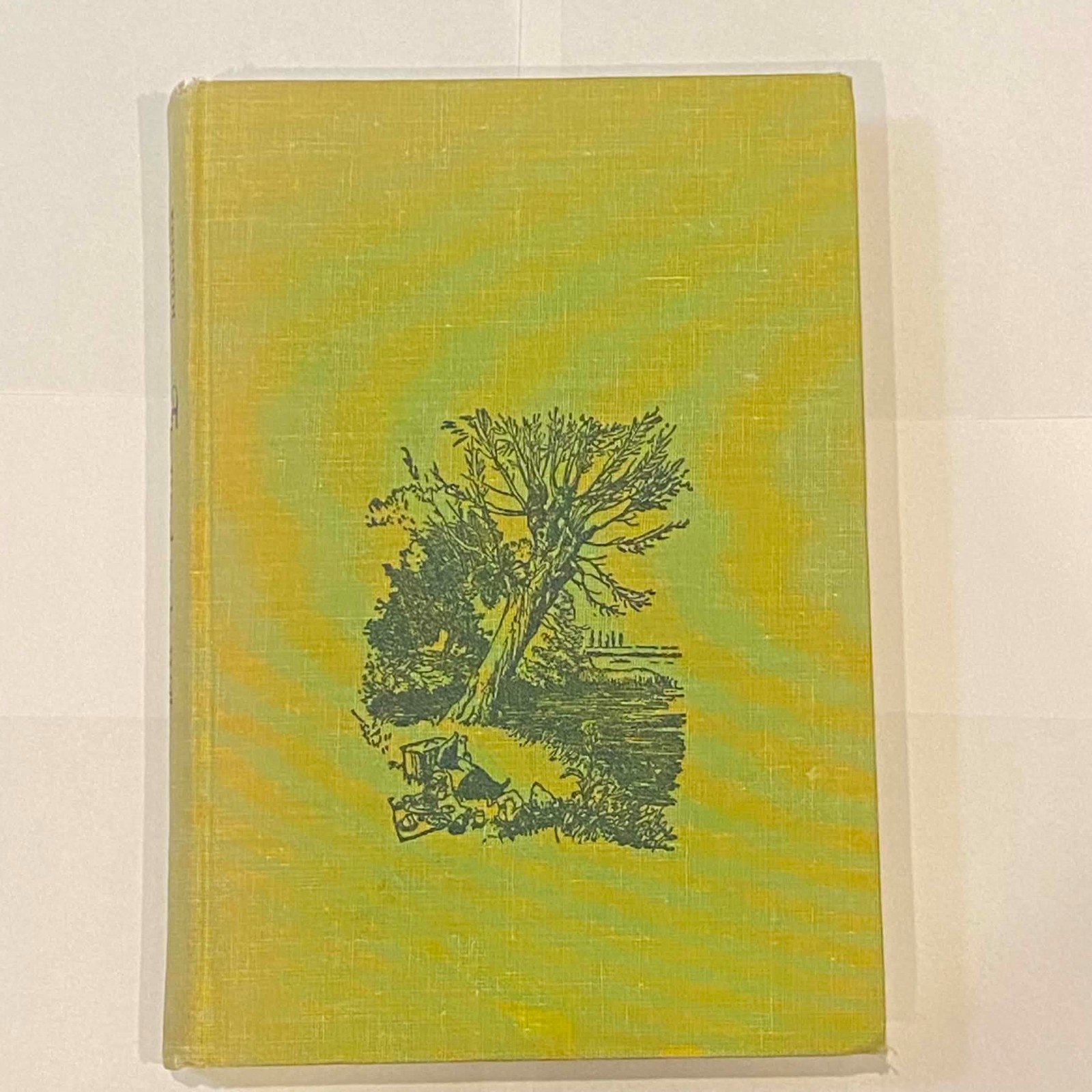 The Wind In The Willows ~ Grahame ~ 1961 Classic Children’s Book HC