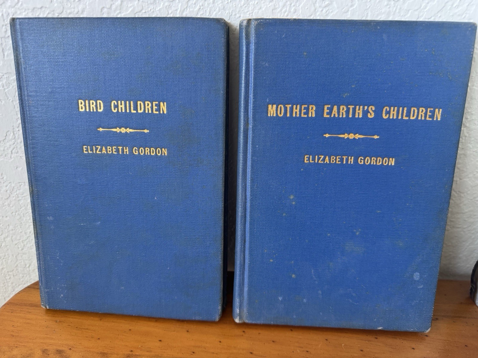 Mother Earth’s Children ~ Bird Children – Elizabeth Gordon ~ 1912 1914 HC