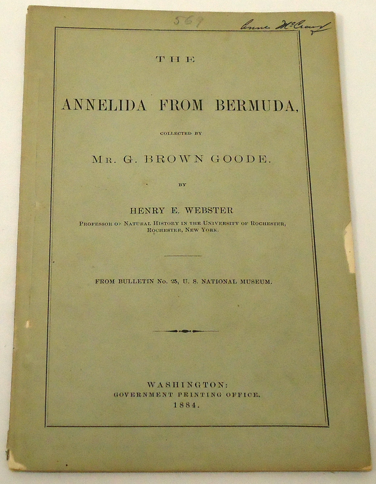 1884 US National Museum, from bulletin #25 ~ ANNELIDA FROM BERMUDA ~ plates