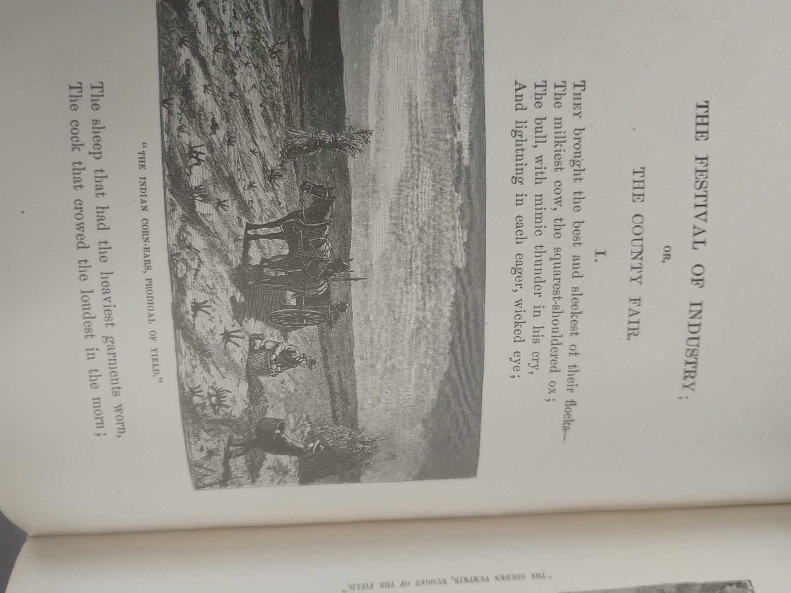 Farm Festivals by Will Carleton HC Illustrated 1881