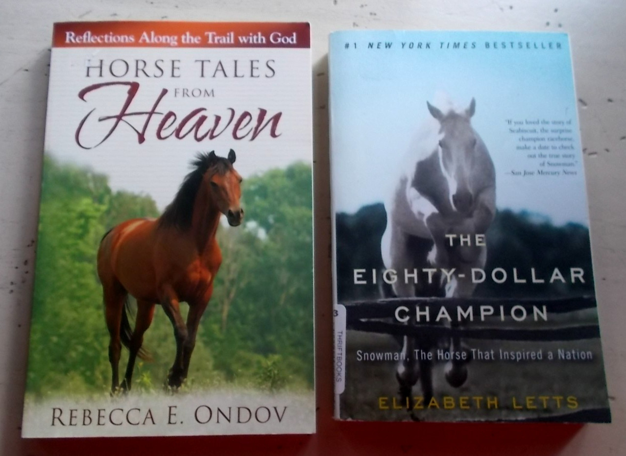 Mixed Lot 13 Collectible Vintage Horse Books Fiction Nonfiction Hard & Paperback
