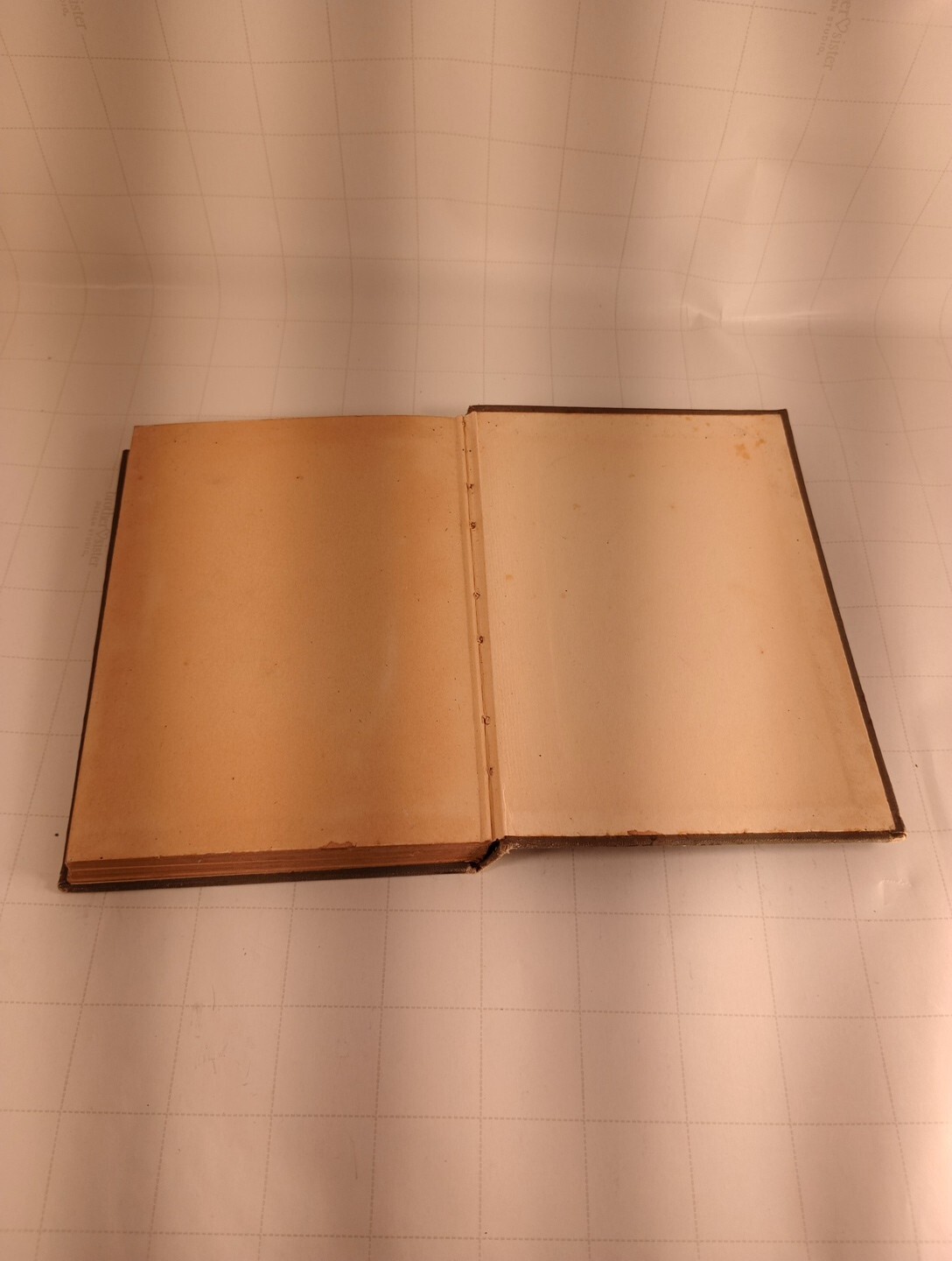 TOASTS-Compiled by Margaret Waters – 1909 – Barse And Hopkins New York