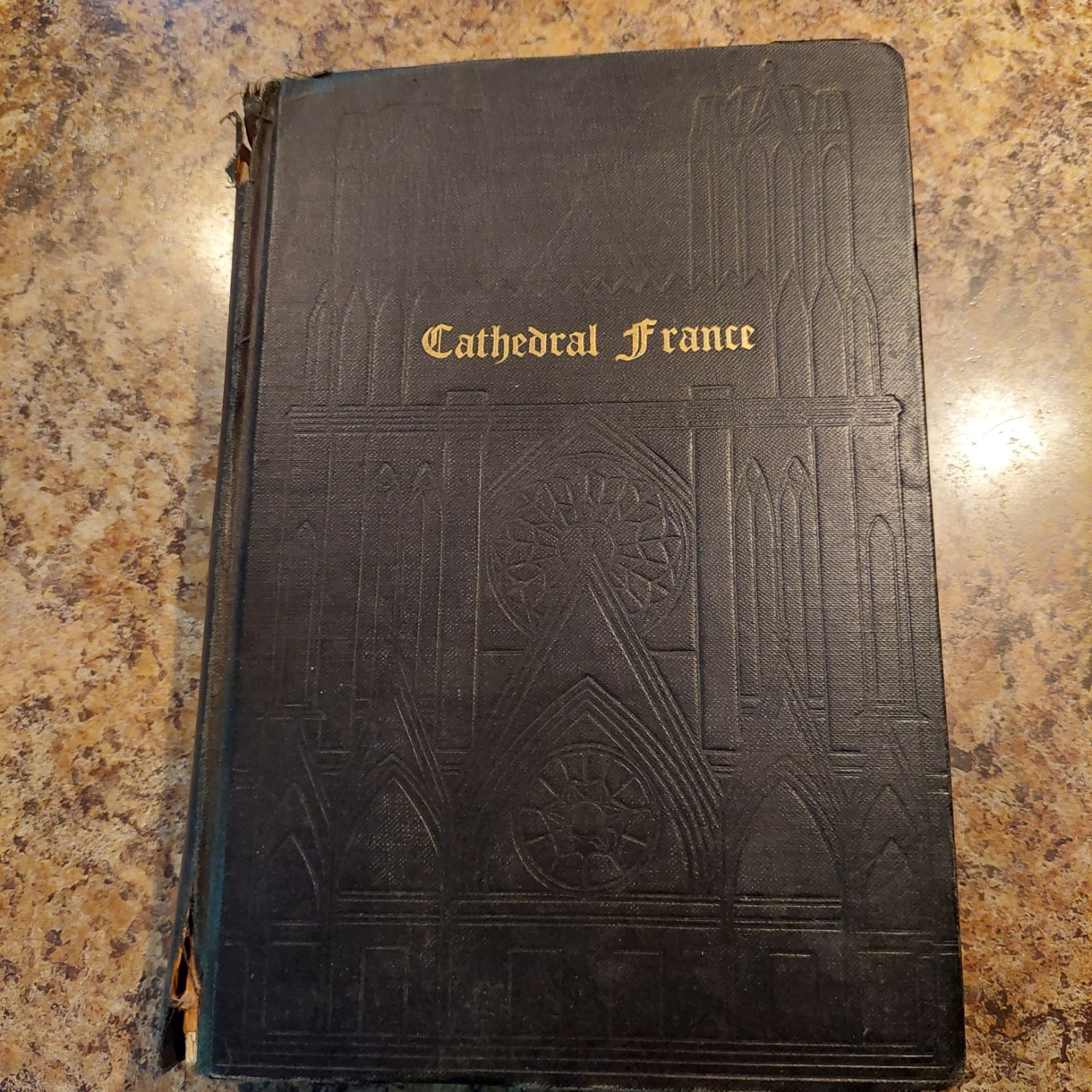 Cathedral France by Sydney A. Clark 1931 Robert M. McBride & Company Hardcover