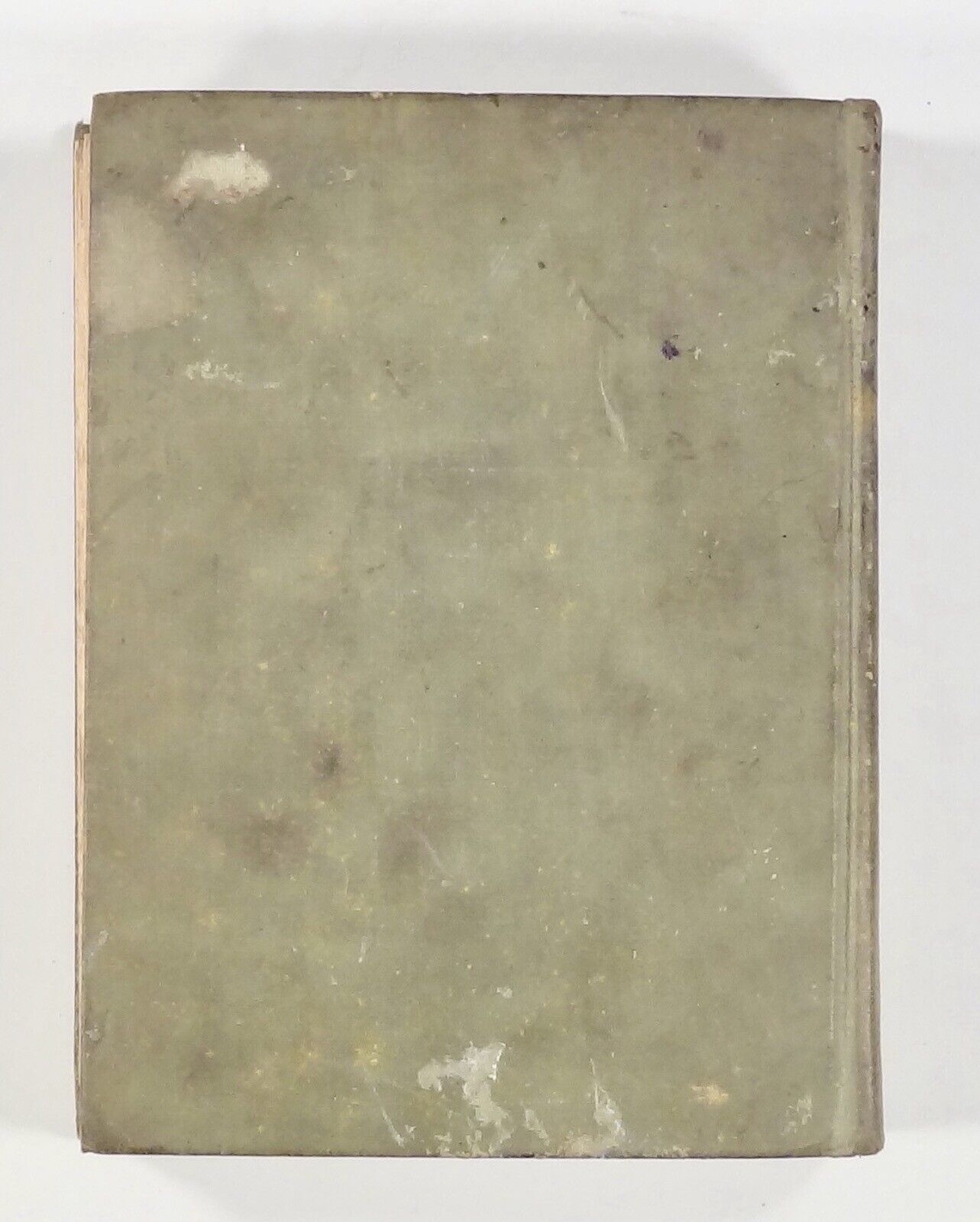 1931 EVERYDAY CLASSICS FIFTH READER Children’s English textbook ILLUSTRATED hc