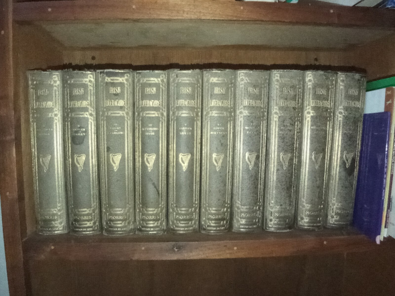 WORKS OF VICTOR HUGO DELUXE EDITION 10 Volumes copyright 1904 John D. Morris Co.