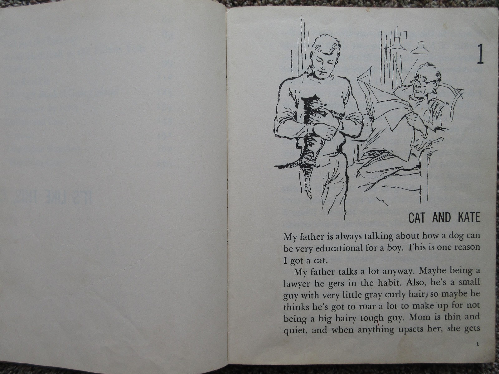 It’s Like This, Cat (1963) by Emily Neville Illustrated by Emil Weiss Hardcover