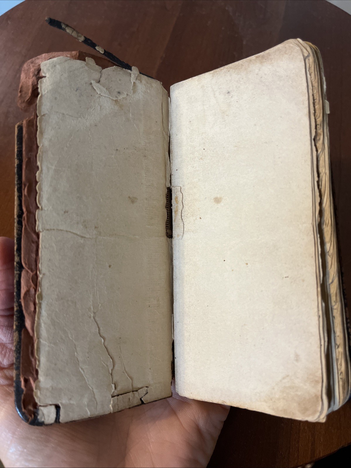 1894 The New Webster Dictionary and Complete Vest Pocket Library 45,800 Words