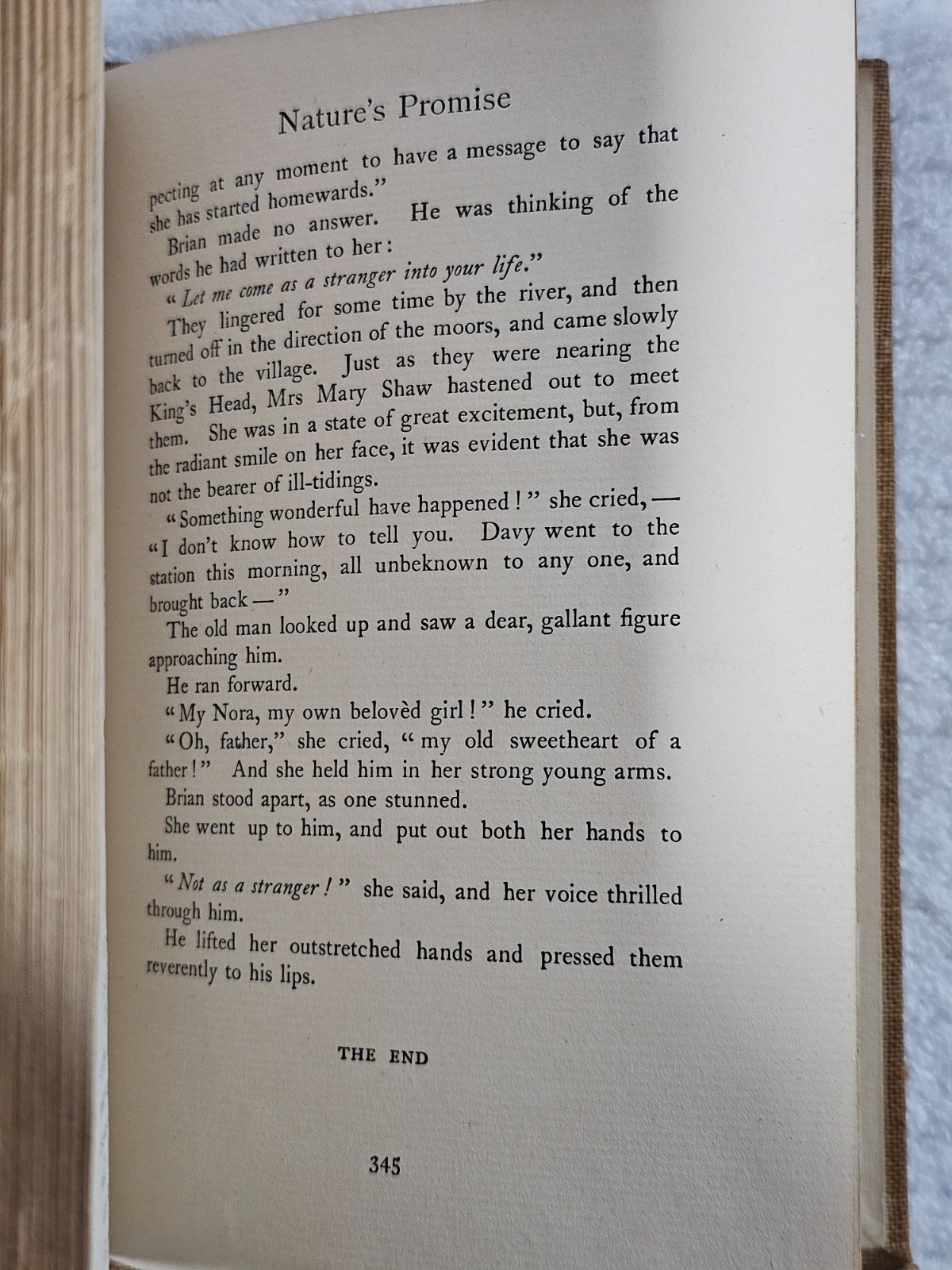 1899 The Fowler Beatrice Harraden First Edition Dodd Mead Art Nouveau