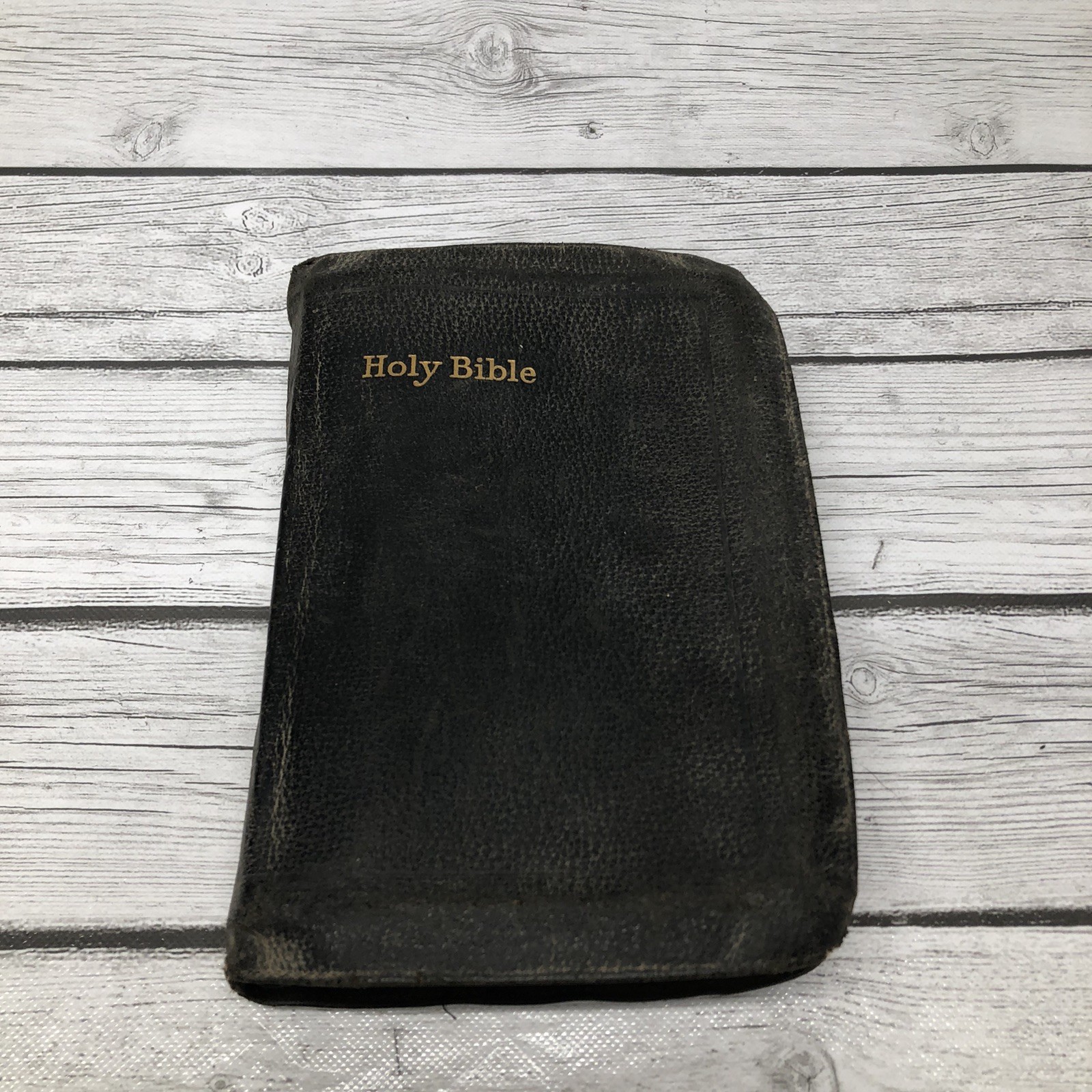 Holy Bible Self Pronouncing International Illustrated John C Winston Co