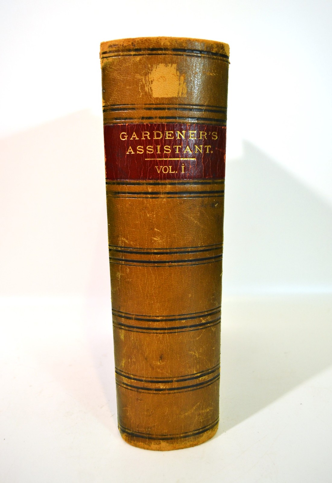 1904 THOMPSON’S GARDENERS ASSISTANT Book Vol. 1 Robert Thompson London UK