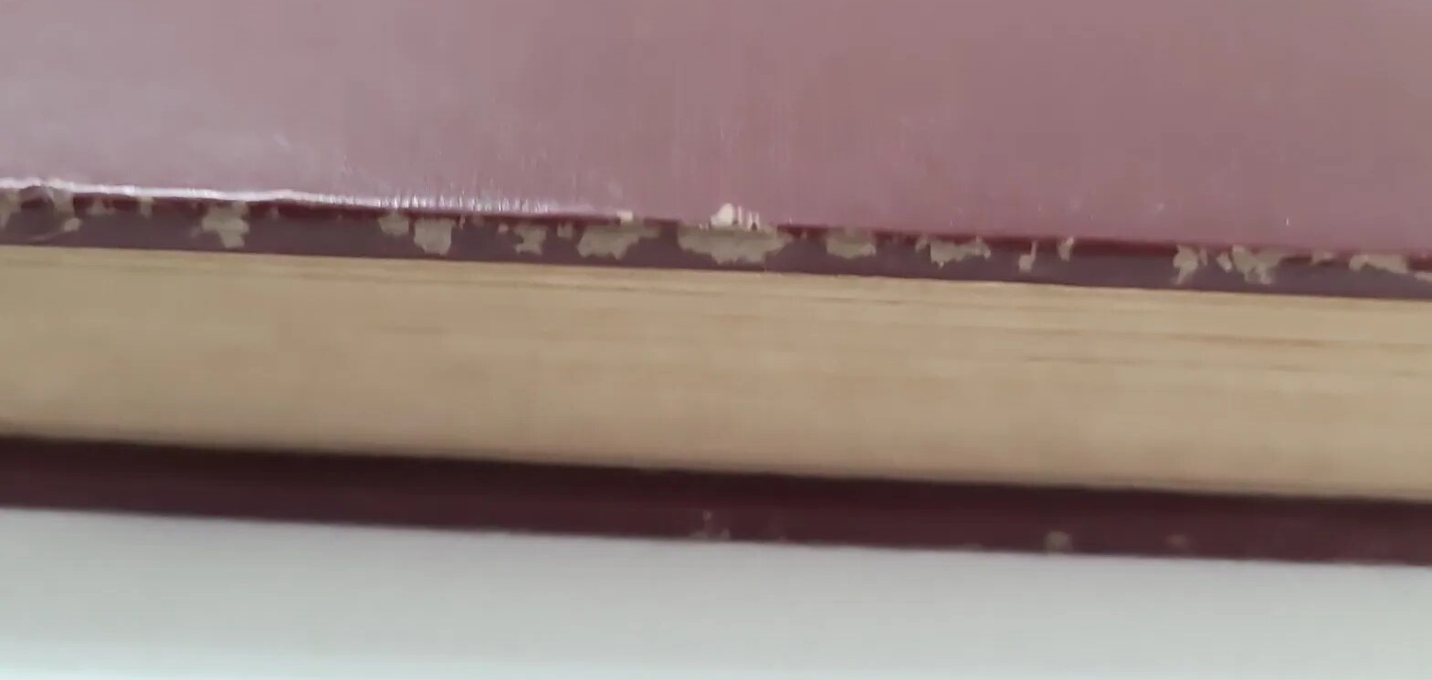 Engineering Descriptive Geometry Book 15th Fifteenth Printing 1951 Vintage ??