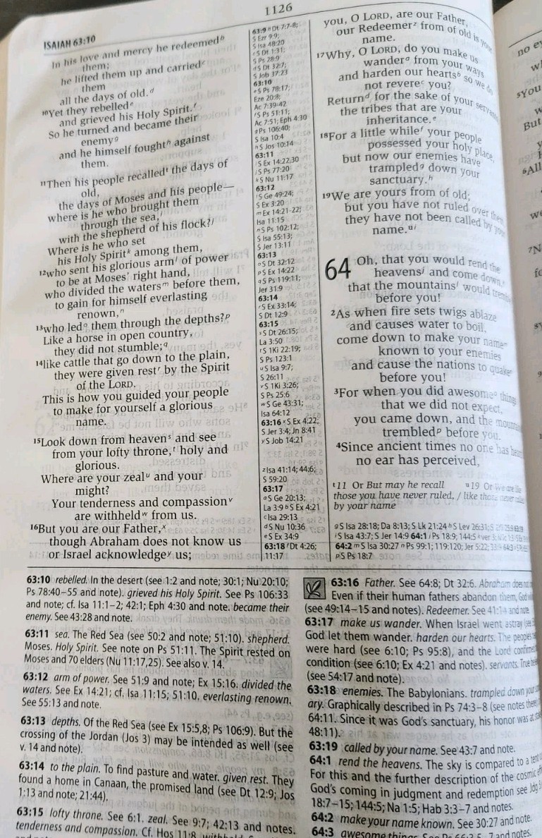 Zondervan New International Version Study Bible Black Bonded Leather 2002