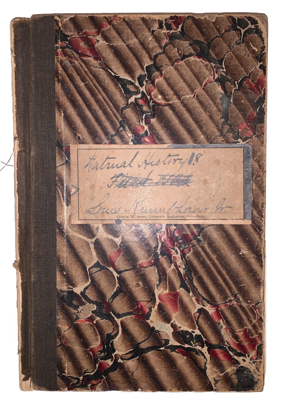 1880’s, ILLUSTRATED MANUSCRIPT NOTEBOOK, NATURAL HISTORY, LOUIS KRUMBHAAR