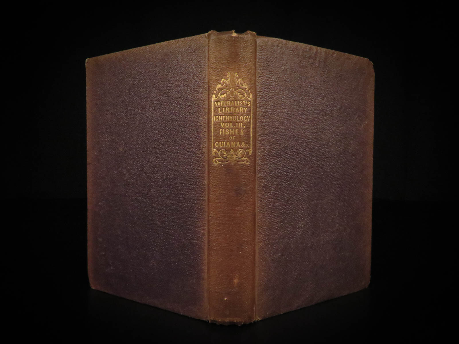 1841 Jardine Naturalist FISH Piranha Salmon Carp Dorsa Ichthyology Africa Guiana