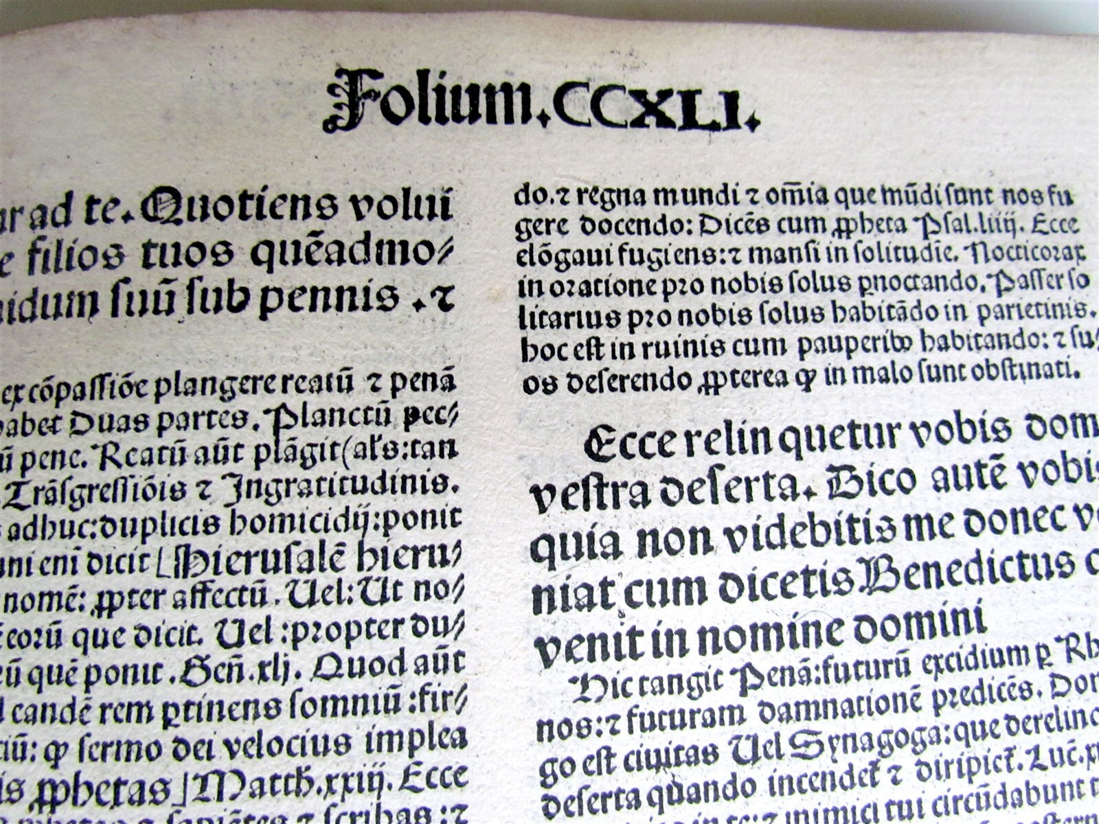 1504 POST INCUNABULA Postille Super Evangeliare by Albertus Magnus antique FOLIO