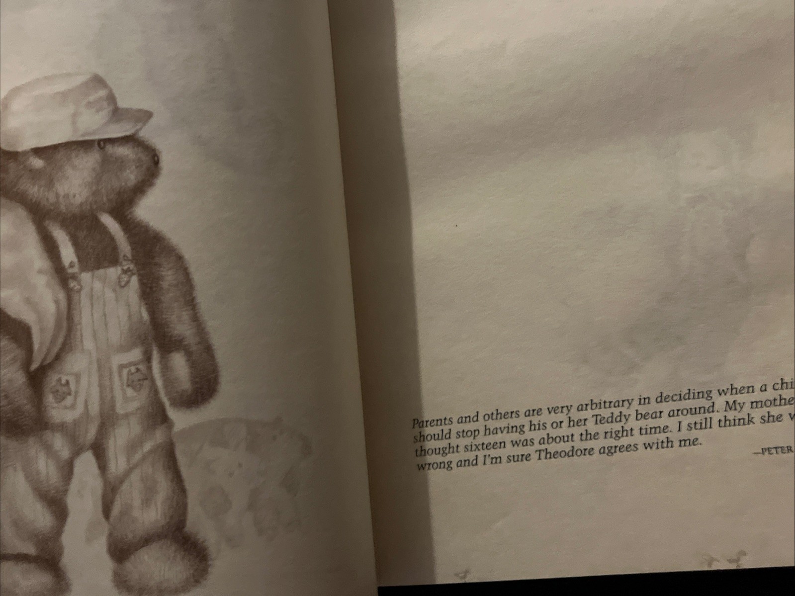 Vintage 1983 Running Press Teddy Bear Journal An Illustrated Notebook