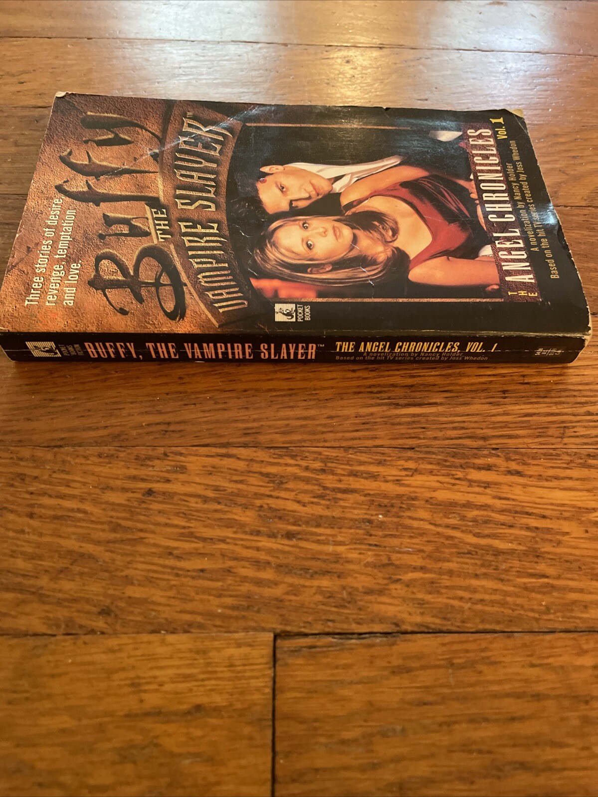 BUFFY THE VAMPIRE SLAYER Angel Chronicles #1 Nancy Holder (1998) PB TV Paperback