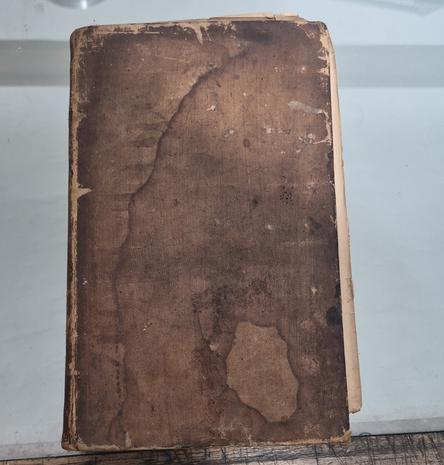 The Spectator Joseph Addison Leather Illus J.J. Woodward Philadelphia 1835