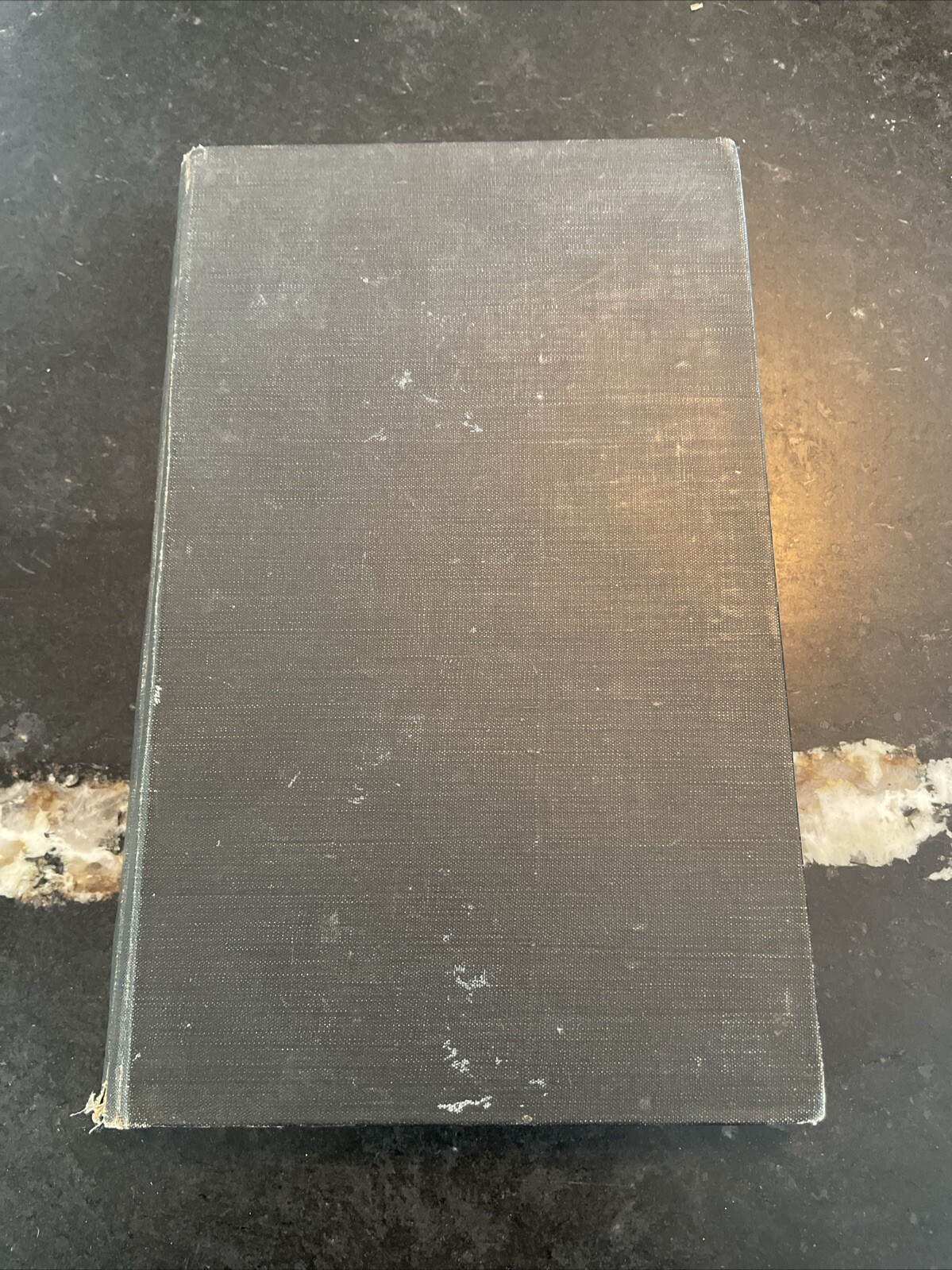 Wild Sports in Europe, Asia and Africa Napier 1846 1st Edition Big Game Hunting