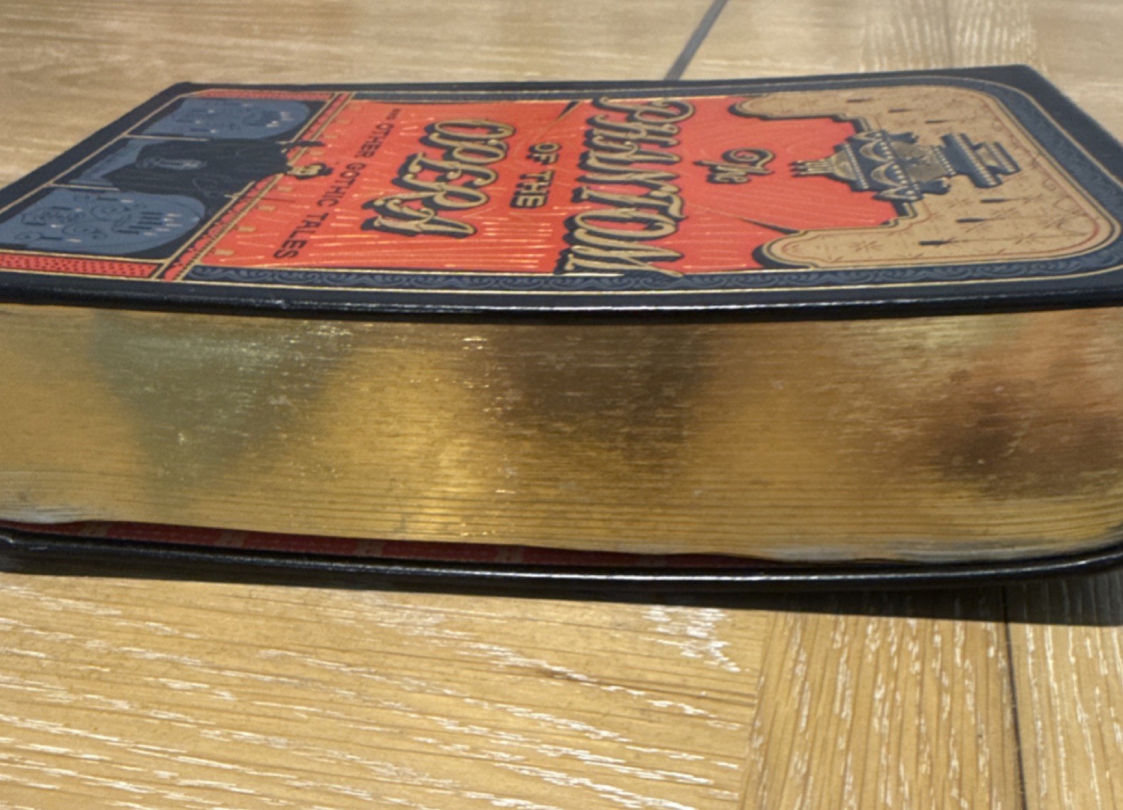 Illustrated Hardcover Gothic Tales by Poe, Shelley, Walpole, Le Fanu