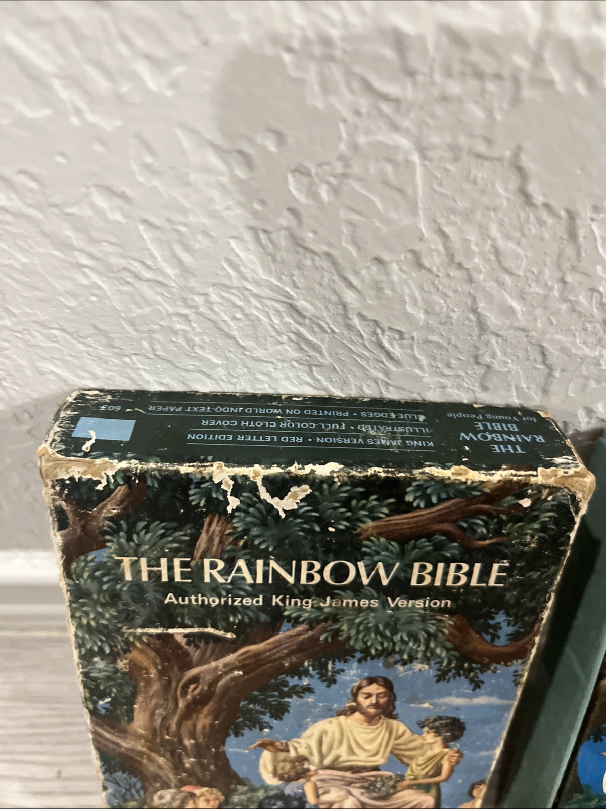 The Rainbow Bible King James Version For Young People 603 Worn