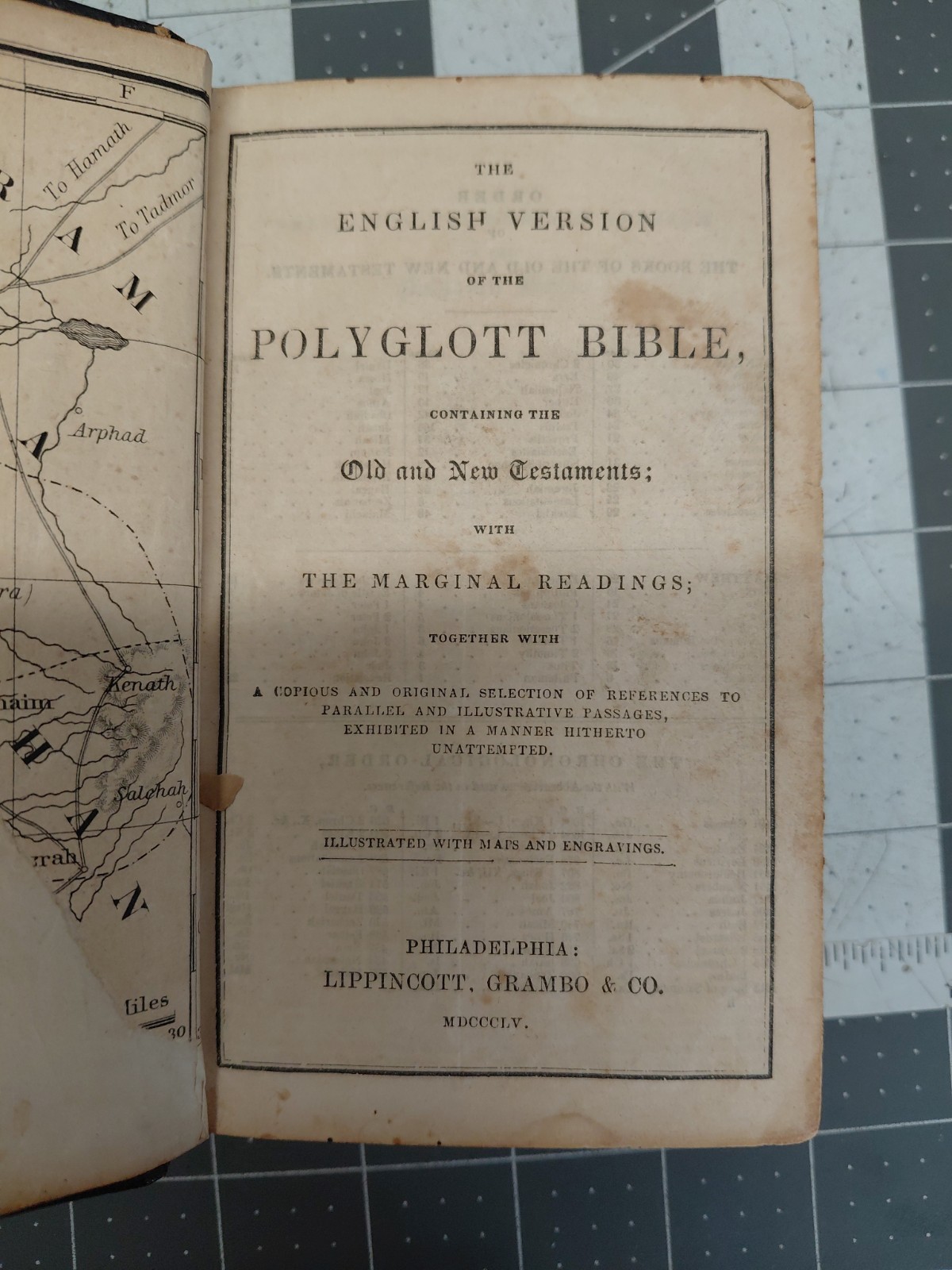 Polyglott Bible ~1855 Leather bound, Common Prayer, Old and New Testament